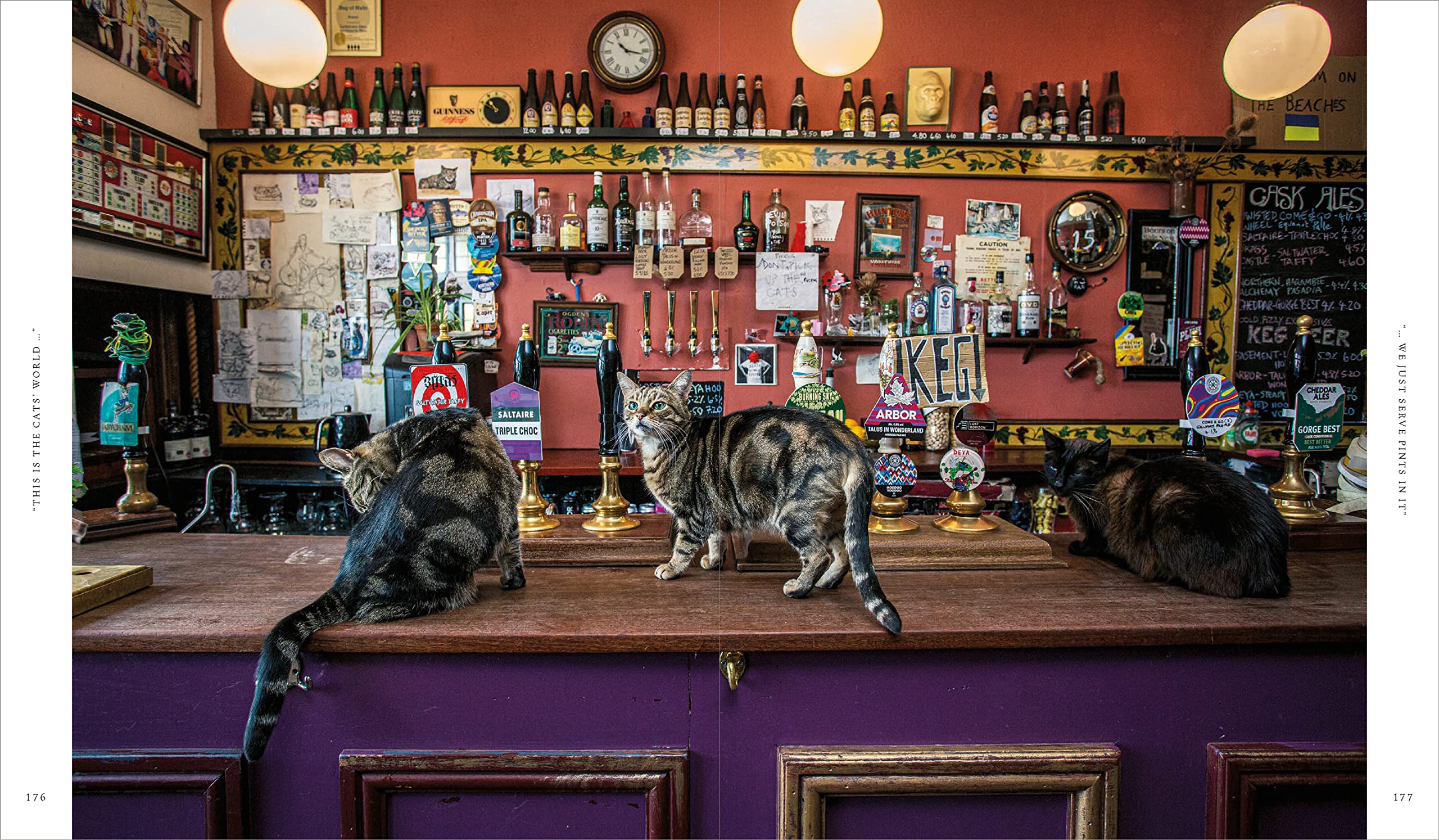Great Pubs of England: Thirty-three of England's Best Hostelries from the Home Counties to the North