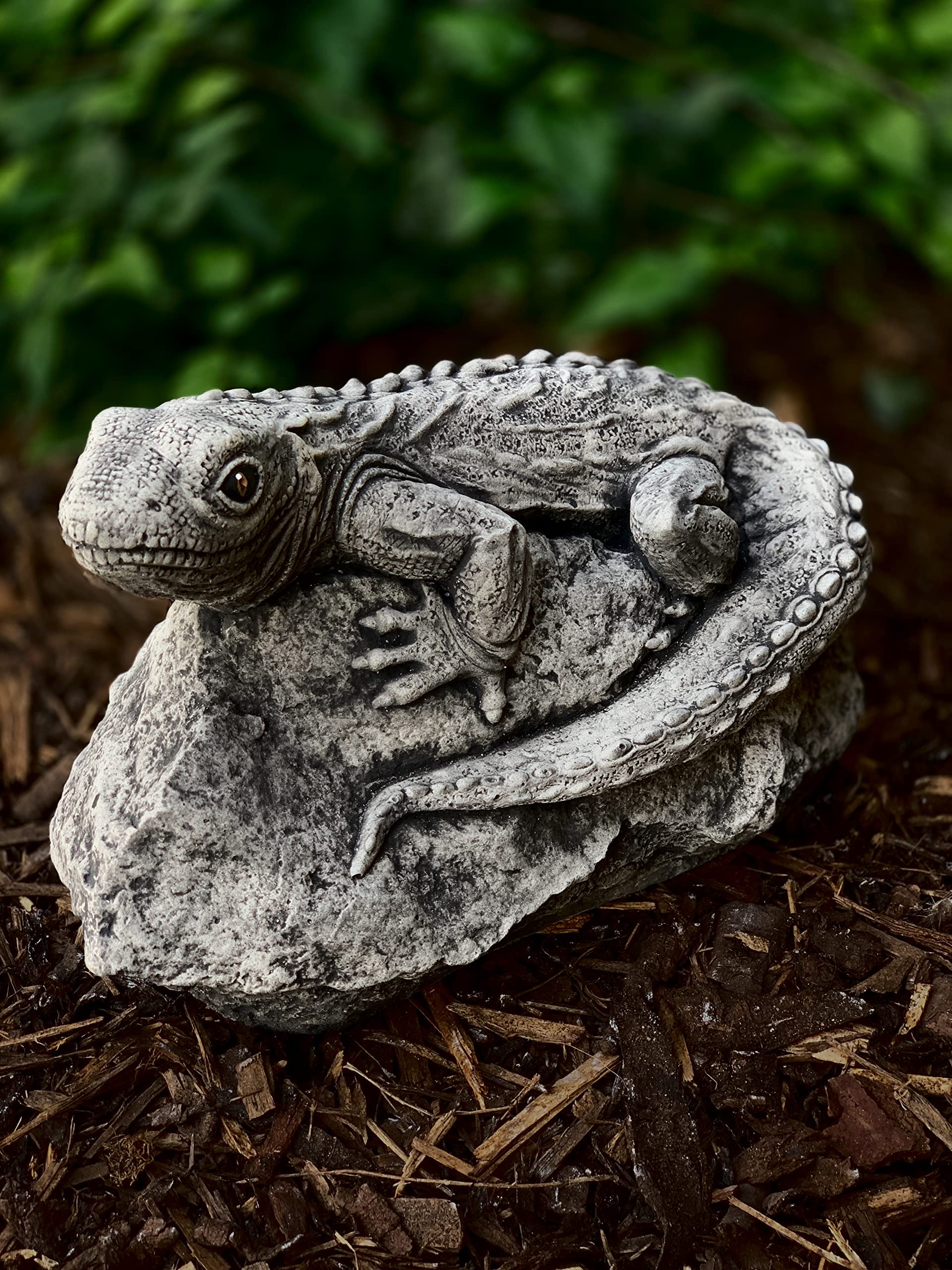 Amazon.com: Stone garden lizard Cement lizard on stone Concrete