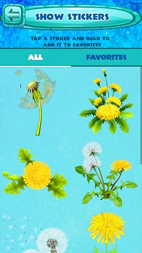 Flores Adesivos