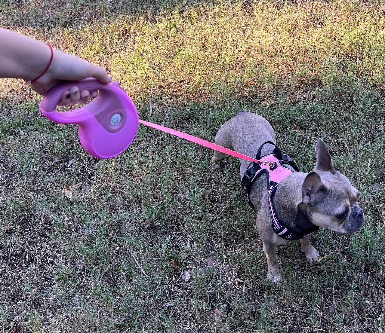 Pink Dog Walking Set: Harness, 16ft Leash, Pup Bag, Bowl - Ideal for Medium Dogs - Tangle-Free, Reflective Anti-Slip Handle - Adjustable, Escape-Proof Varying Pink Shades #funnyfurgrace