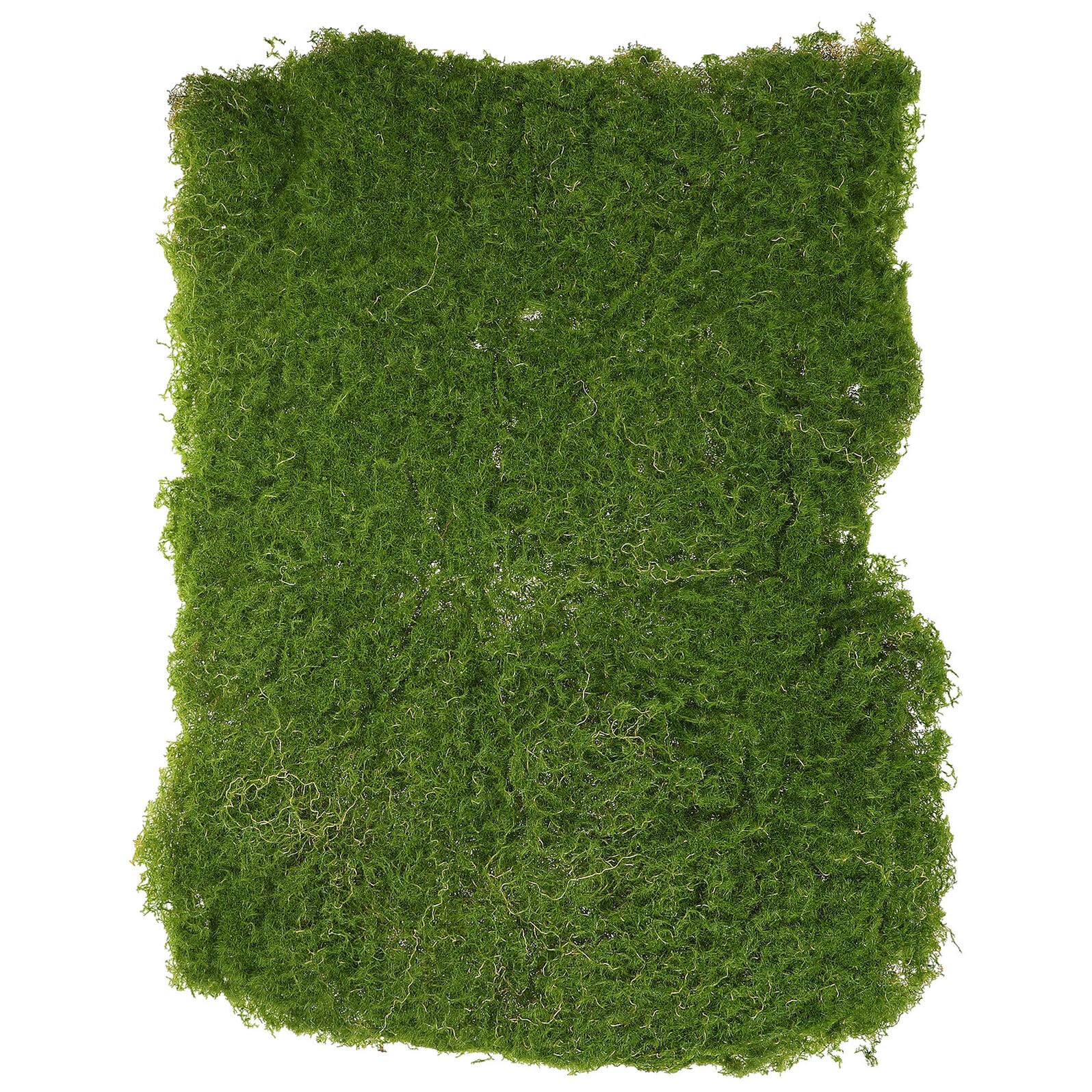 Mousse synthétique réaliste et solide COLLBATH, tapis de gazon artificiel durable pour DIY