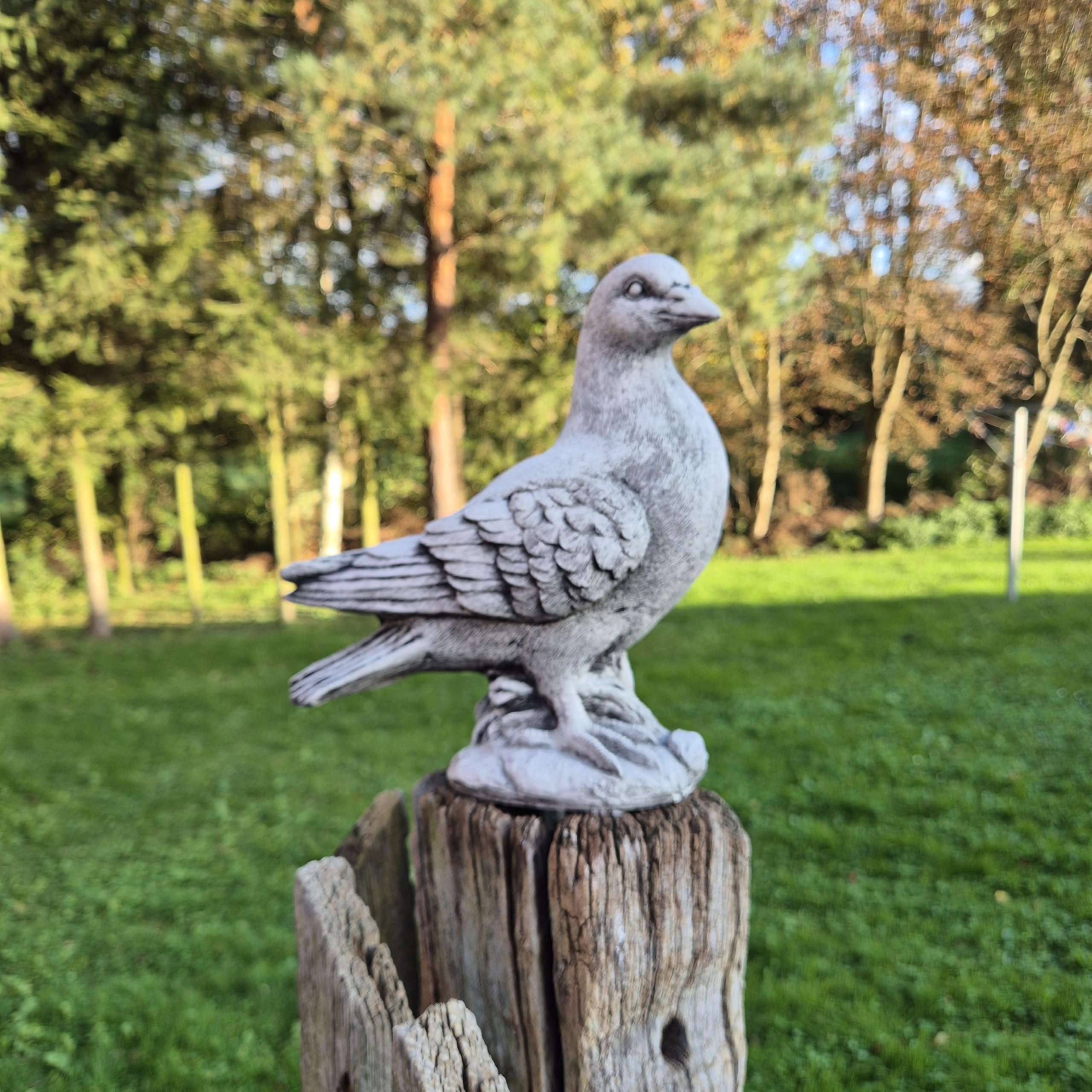 FABRIQ Handgefertigte Taubenfigur 24 cm – Schwarze wetterfeste Steinguss-Vogelskulptur – 3 kg – Handbemalt