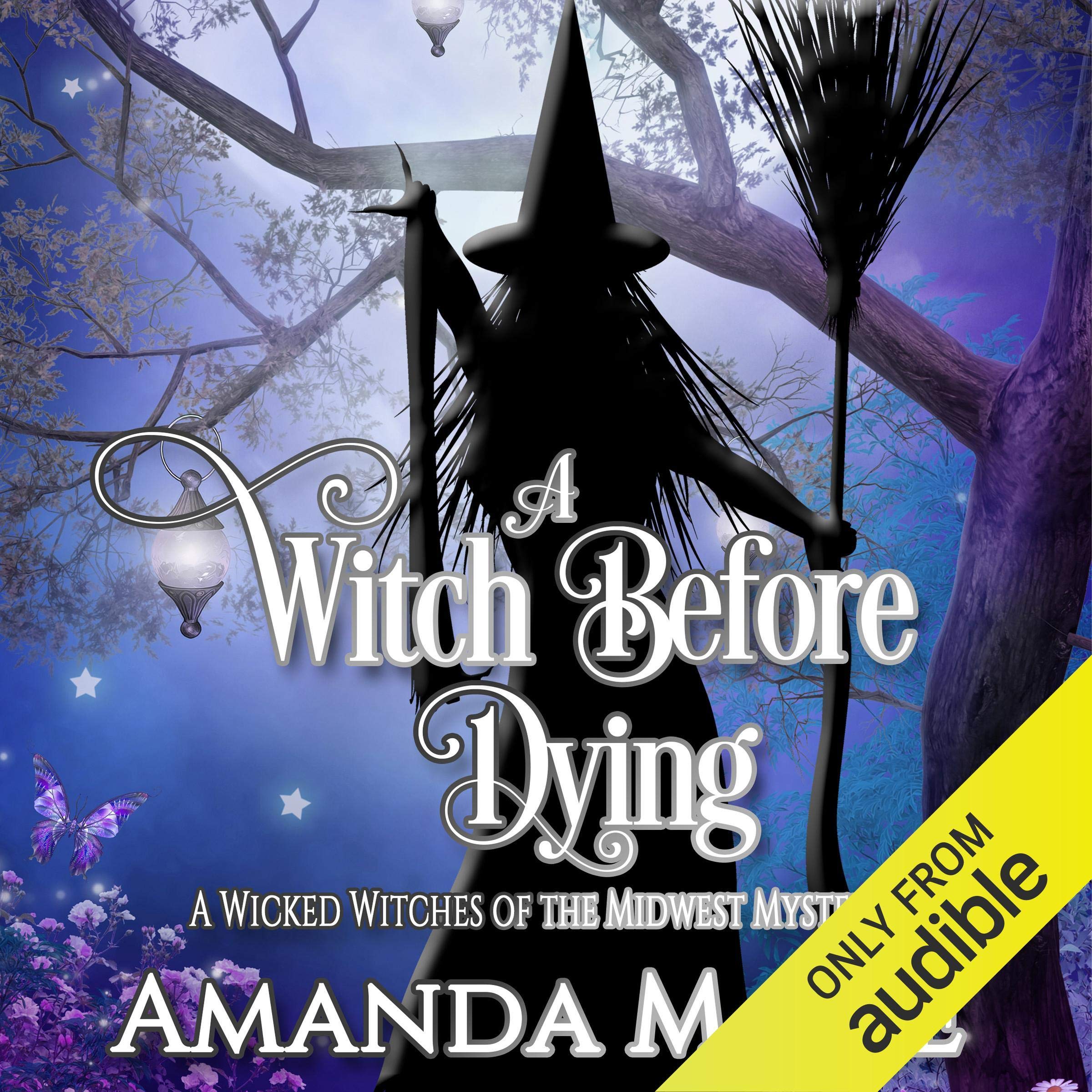 Cover art for A Witch Before Dying