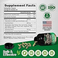 Vista 7 de Mullein Lung Detox - Mullein Leaf Extract - Marshmallow Root Echinacea Oregano Quercetin NAC - 15-in-1 Lung Support & Cleanse for Smokers