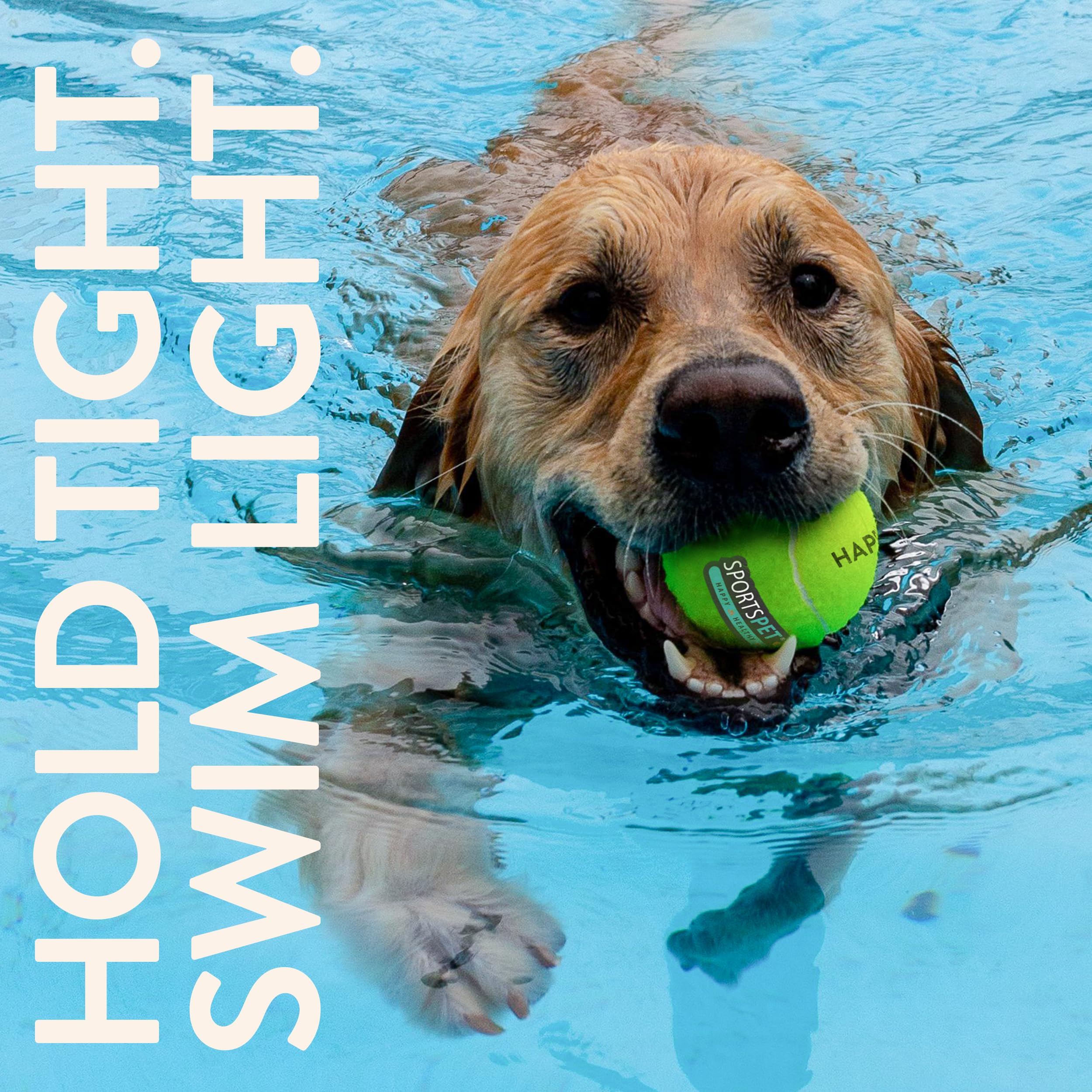 SPORTSPET Palline da tennis per cani, confezione da 12, extra rimbalzanti, non tossiche, durevoli, di lunga durata, galleggianti per cani, palline da tennis standard (64 mm)
