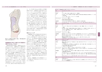 エビデンスに基づく骨盤底の理学療法 原著第2版 科学と臨床を