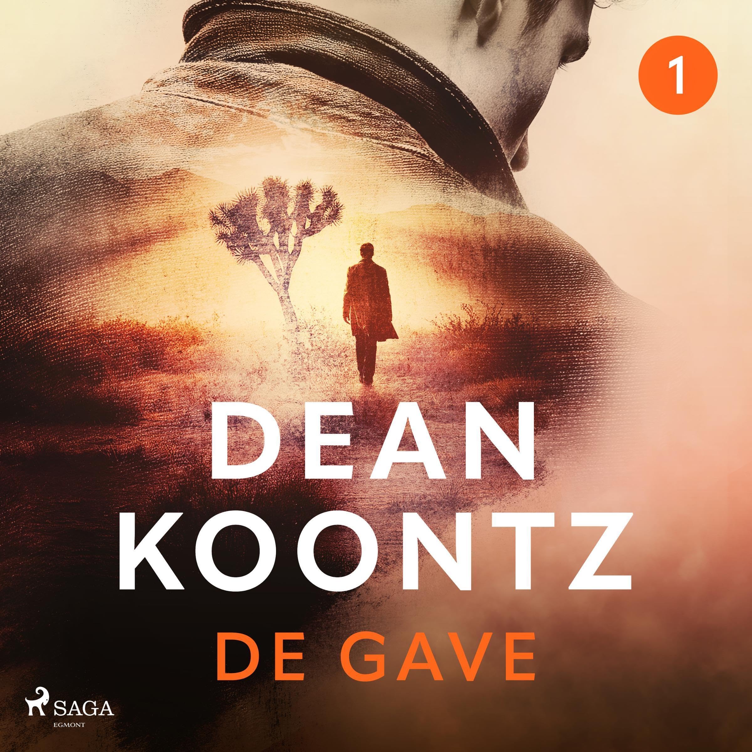 Cover art for De gave