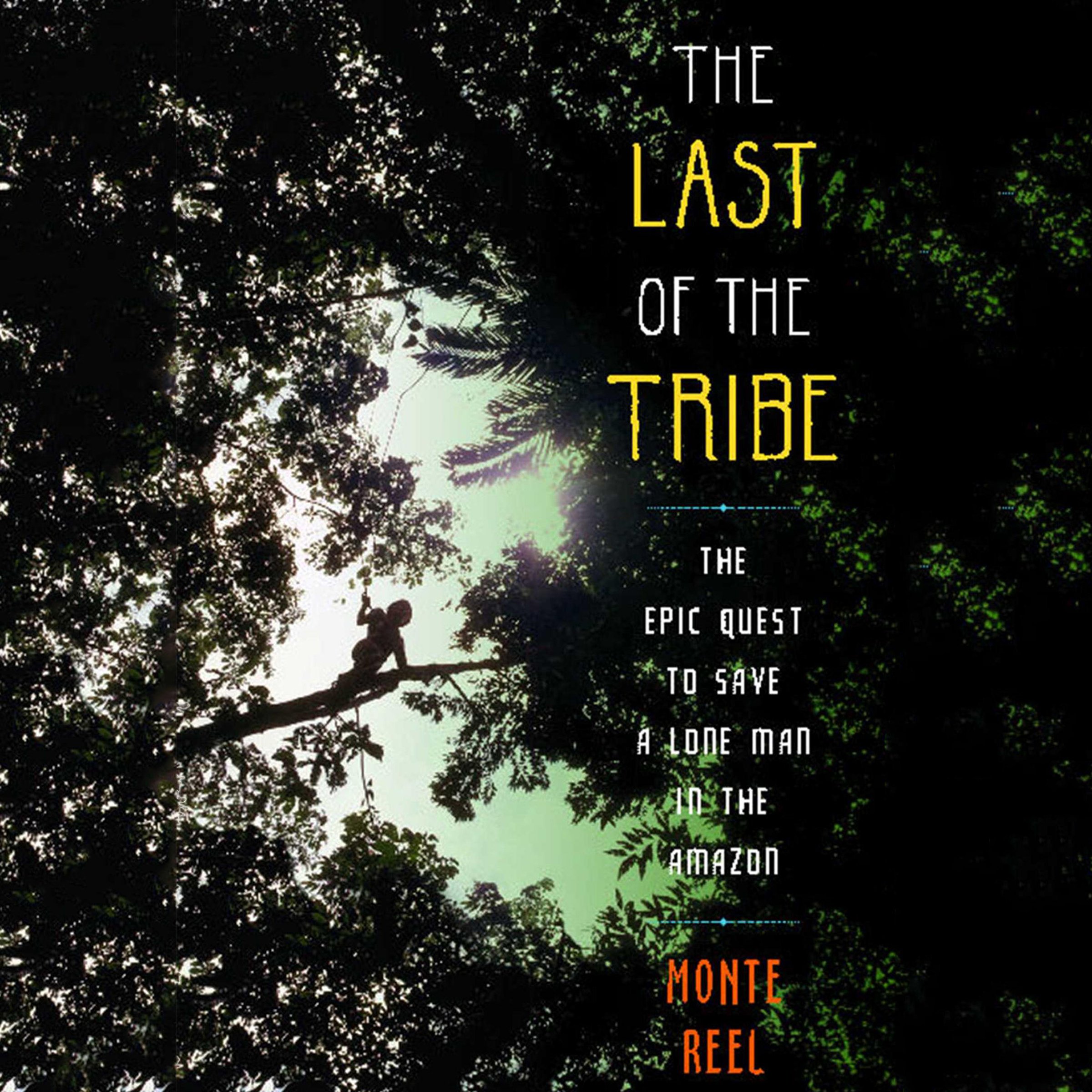 Cover art for The Last of the Tribe