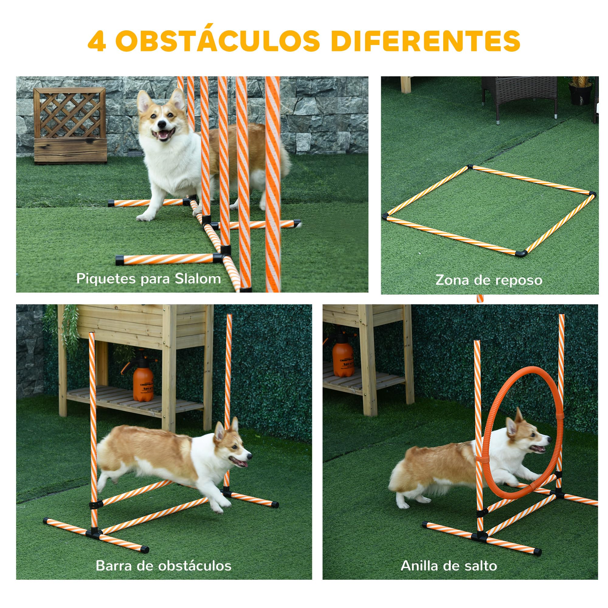 PawHut Set de Entrenamiento de Agilidad para Perros de 4 Piezas Juego de Agilidad para Perros con Valla, Slalom con piquetes, Zona de Descanso y Anillo de Salto Naranja
