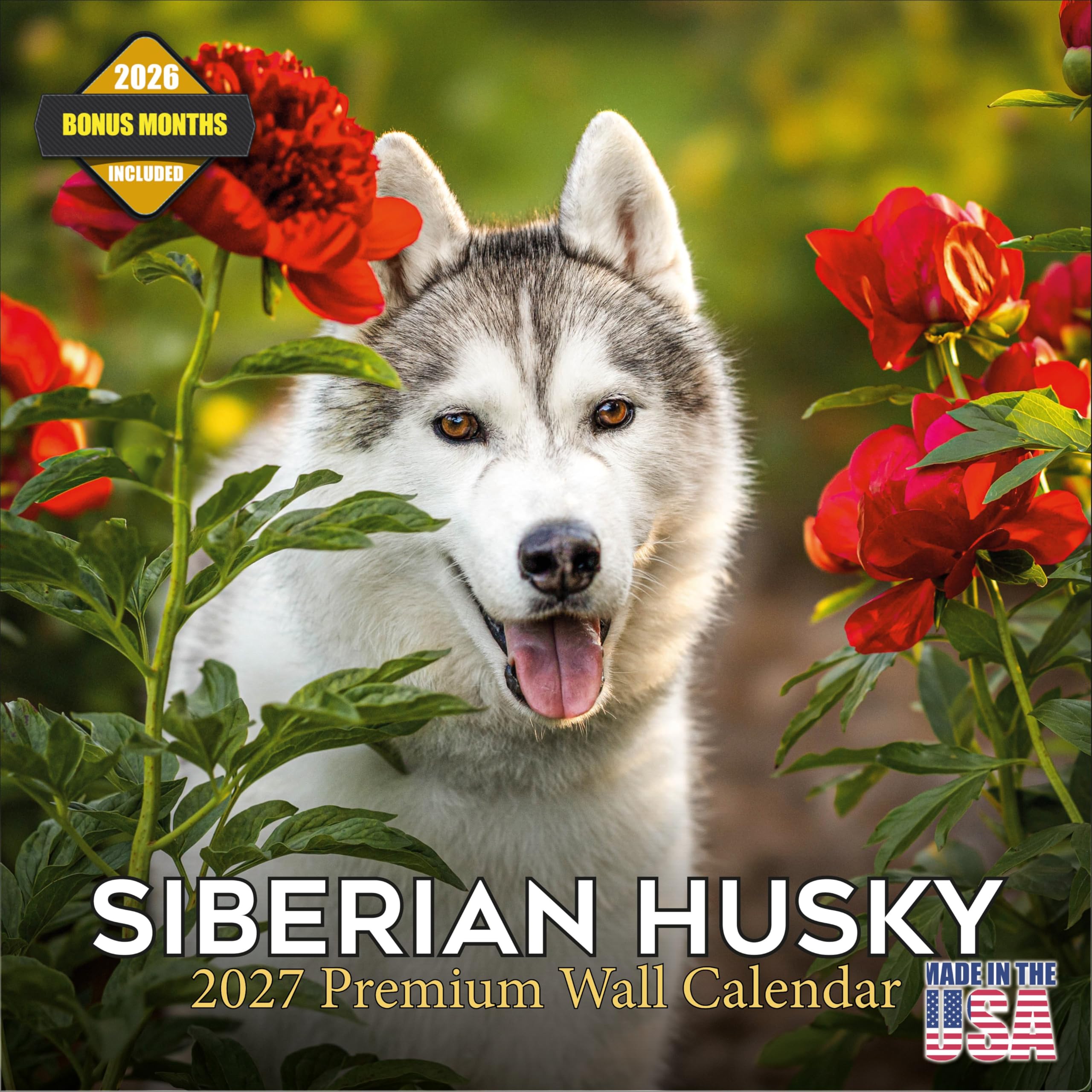 2025 2026 Siberian Husky Calendar - Dog Breed Monthly Wall Calendar - 12" x 24" Open - Thick No-Bleed Paper - Giftable - Academic Teacher's Planner Calendar Organizing & Planning - Made in USA โ image 1