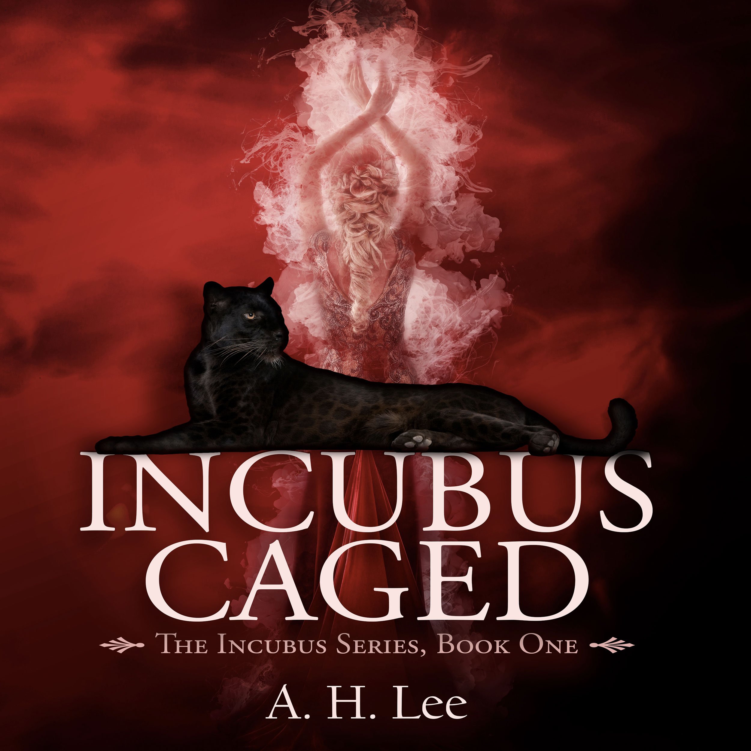 Cover art for Incubus Caged