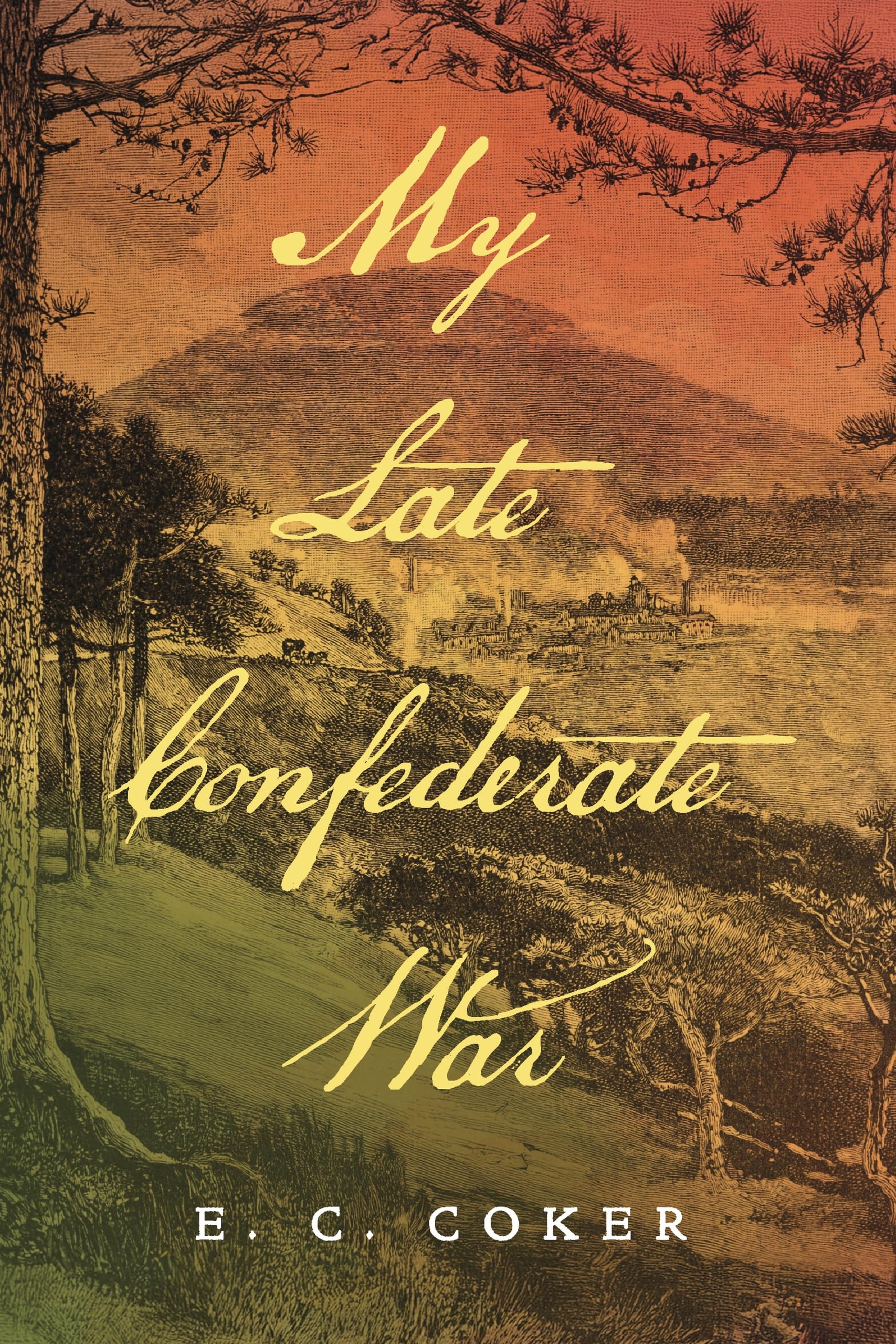 My Late Confederate War