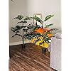 Product Photo 7