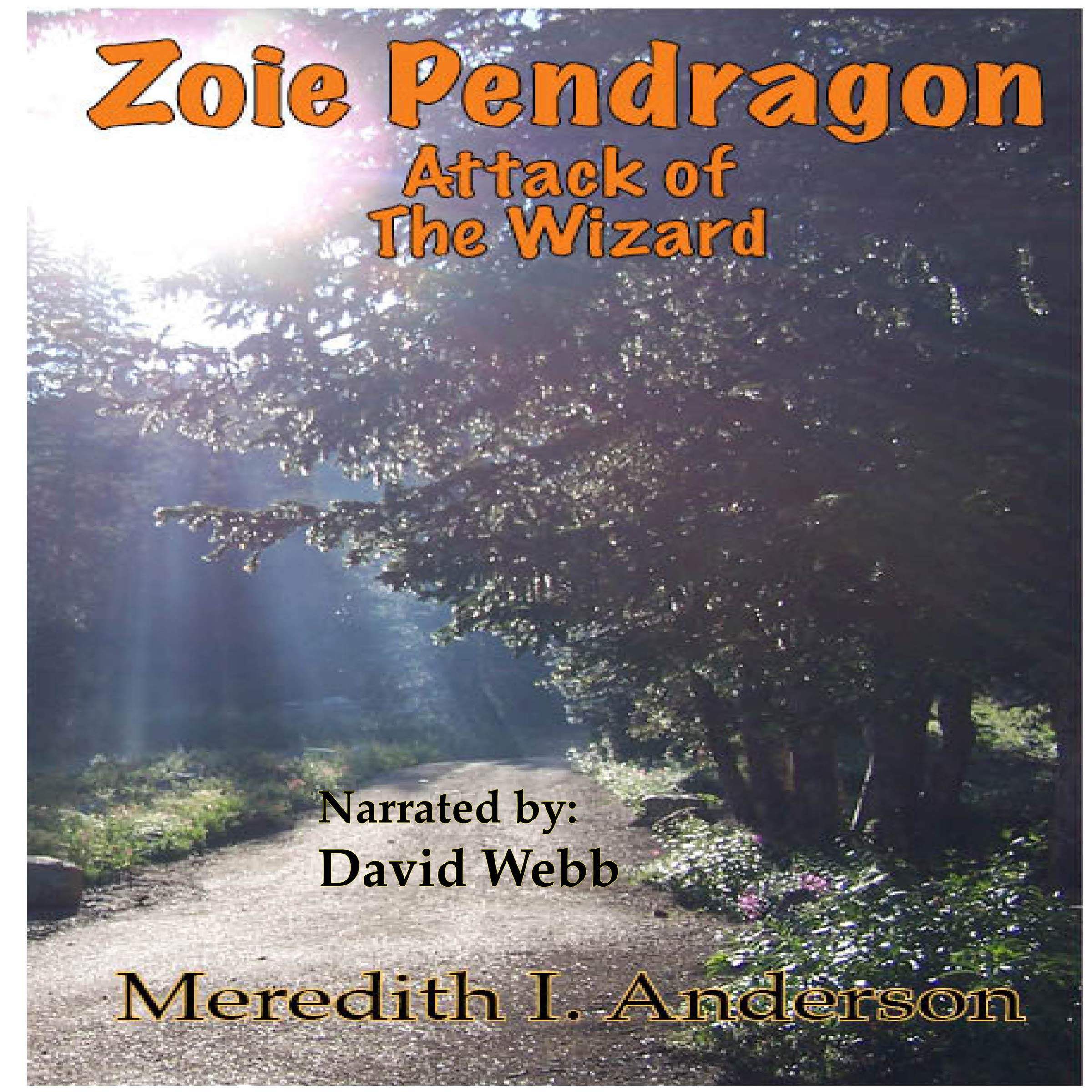 Zoie Pendragon: Attack of the Wizard