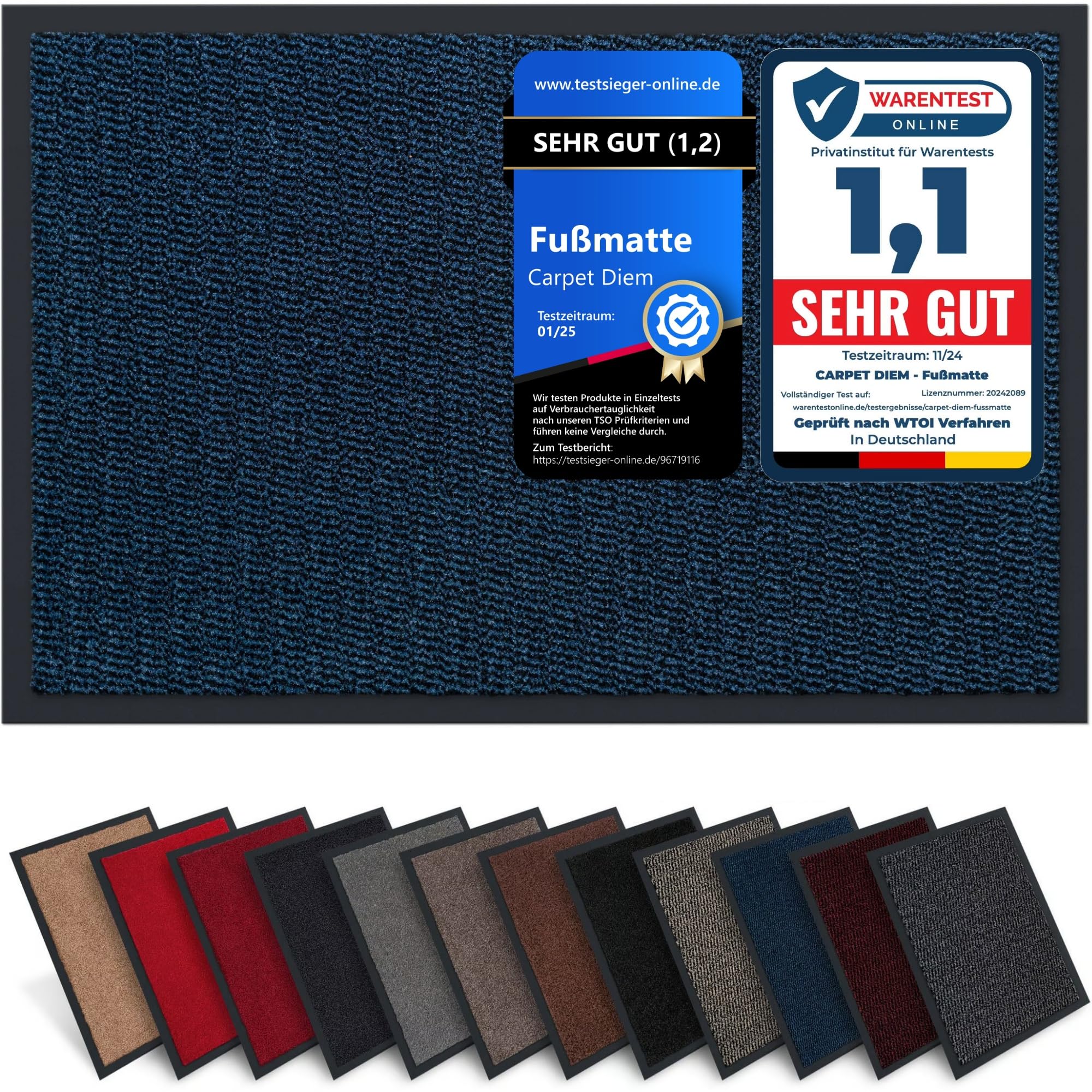 Carpet Diem Fußmatte, einfach sauber I Schmutzfangmatte Eingangsbereich - Fussmatte Innen & Außen, rutschfeste Türmatte, Schmutzfang Teppich für Haustür I Fußabtreter in Blau-Schwarz 60x90 cm