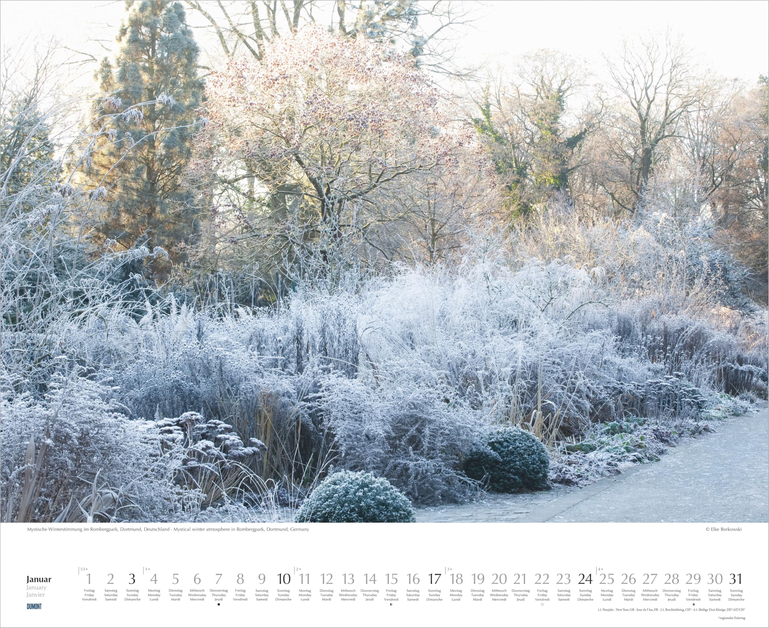 Zu Gast in schönen Gärten 2027: Wandkalender 52x42,5 cm mit Fotografien von Elke Borkowski und 3-sprachigem Kalendarium