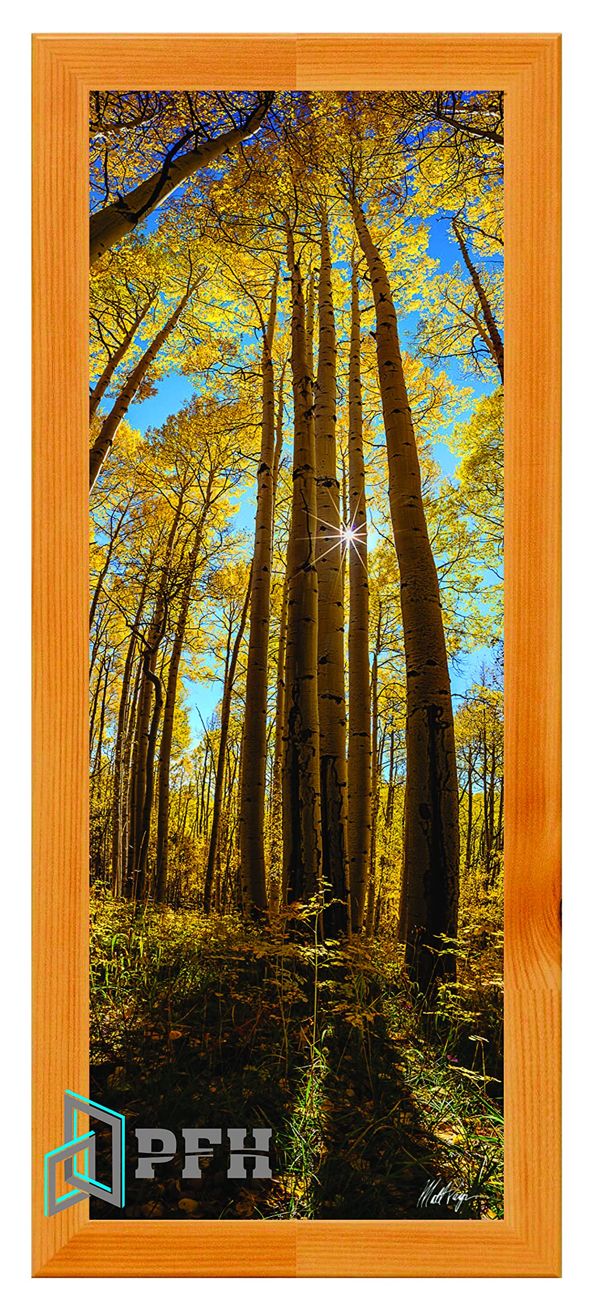 Photo Frames Pine 100cm x 40cm Modern Flat Style Wood Picture Poster Frame Front Acrylic Glass
