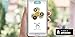 Fidget Spinner ( Hand Spinner )