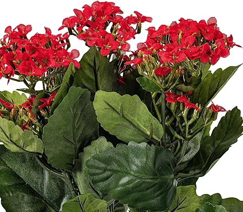 Miniatura 9 de Vickerman Arbusto Kanachoe artificial rojo de 15 pulgadas de largo  Decoración floral sintética de alta calidad para bodas o arreglos diarios