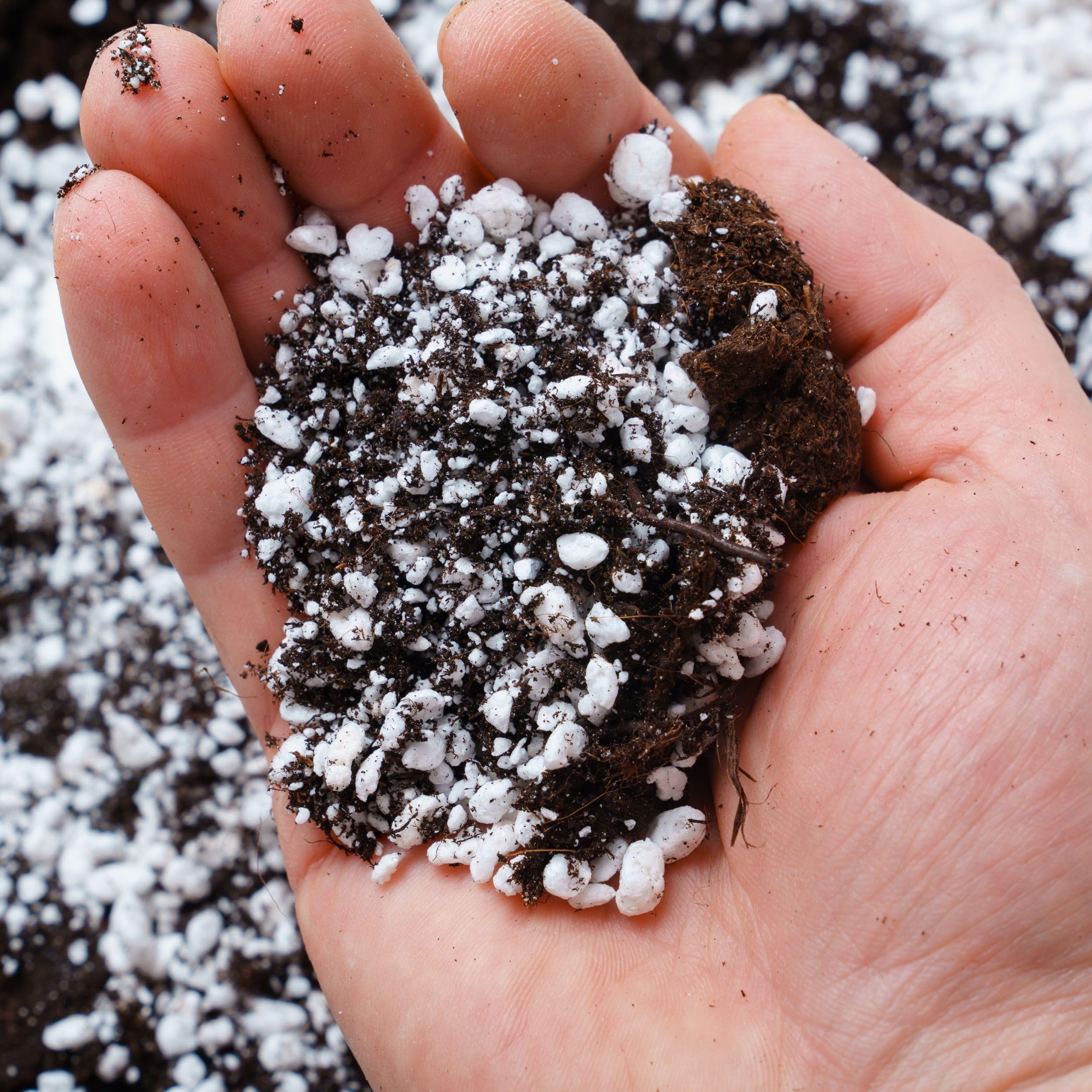 Blumenerde, Perlit Premium 1-4 mm universal, Perlite für Pflanzen 100 l Bodenverbesserung, Feuchtigkeitsspeicherung, Bewurzelung oder Kultivierung, für Orchideen und feuchtigkeitsempfindliche Pflanzen