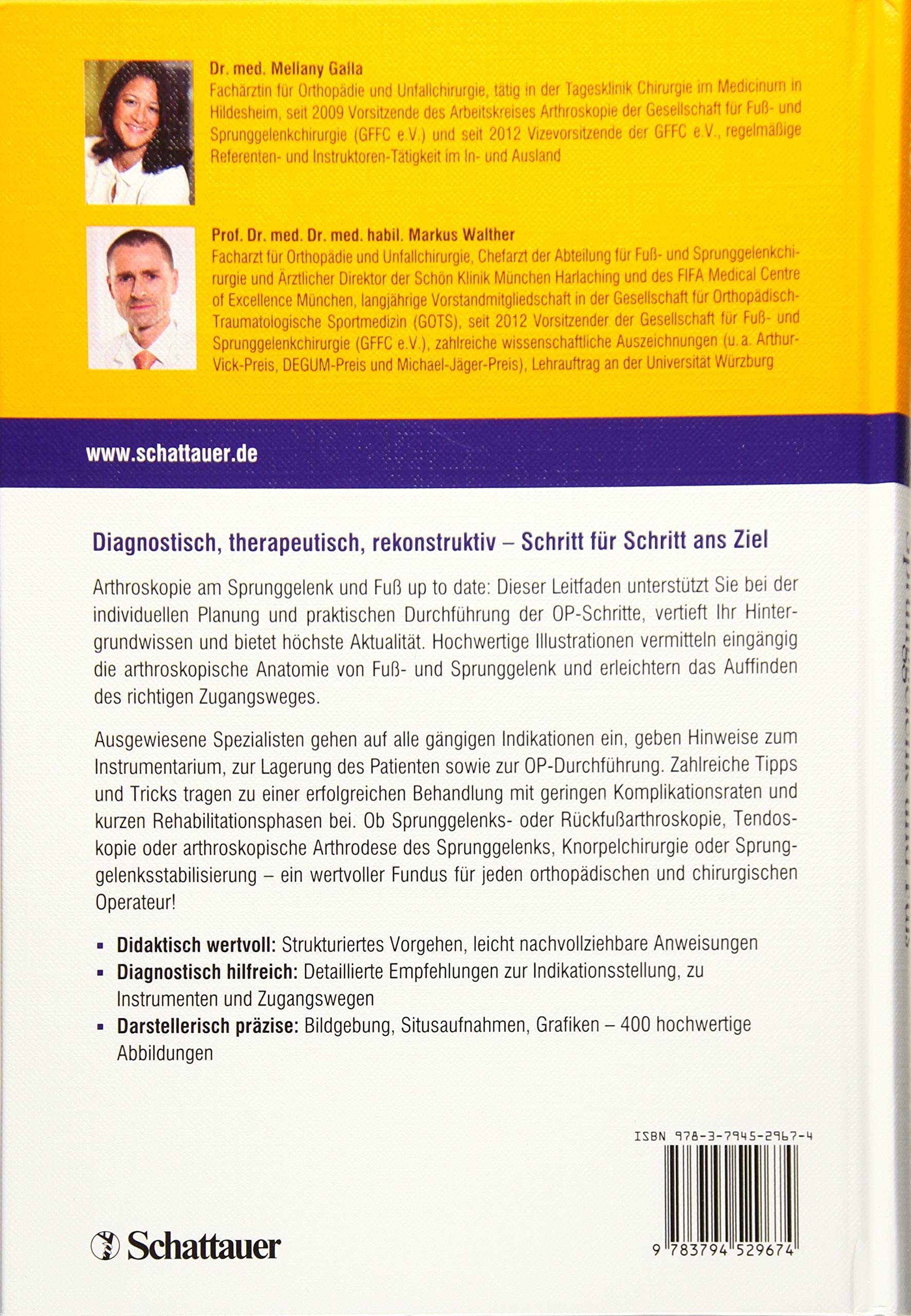 Arthroskopie an Sprunggelenk und Fuß: Das Praxisbuch der Techniken und Indikationen
