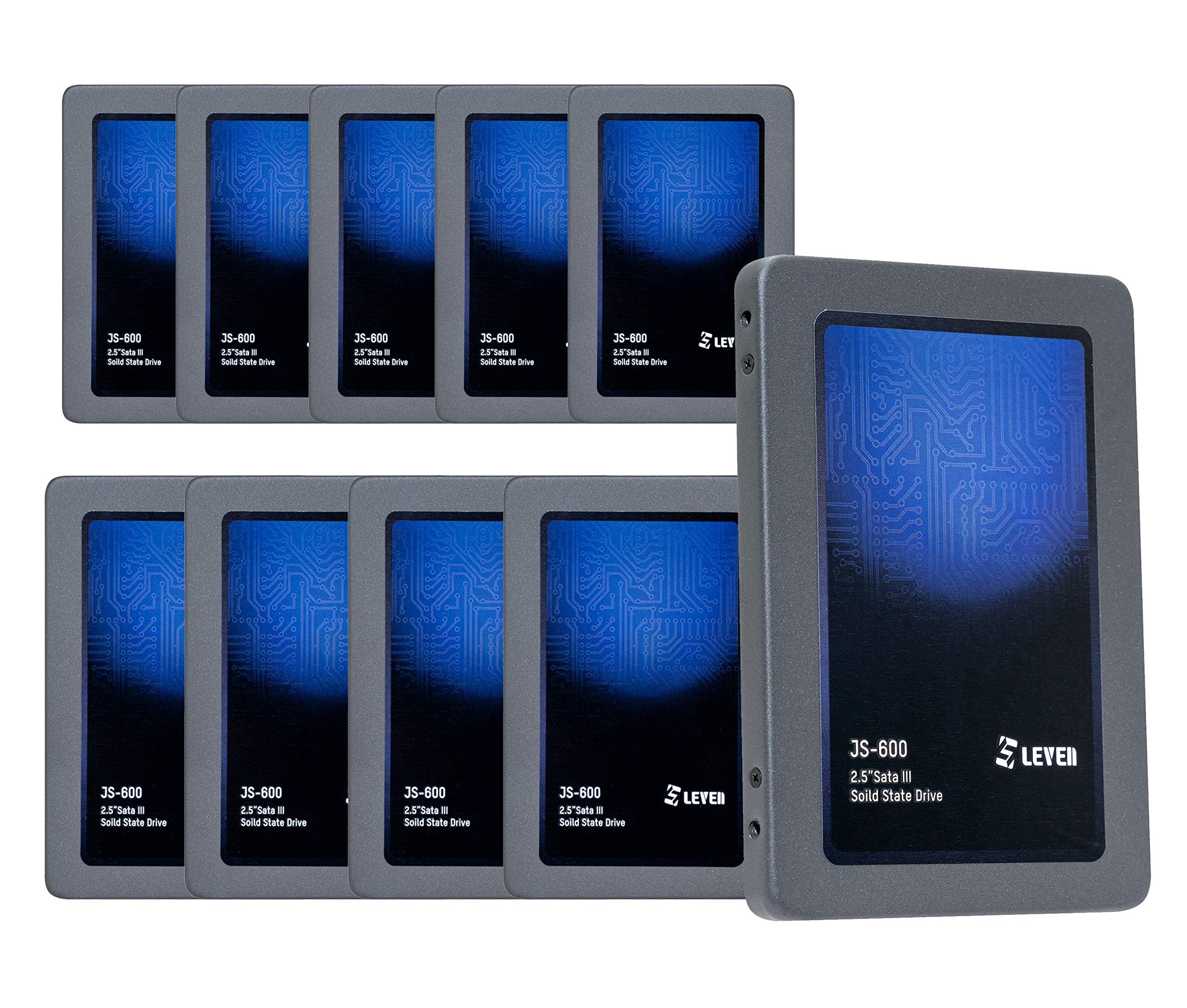 LEVEN JS600 SSD 256GB (Retail 10 Pack) - up to 550MB/s - 3D NAND SATA III Internal Solid State Drive