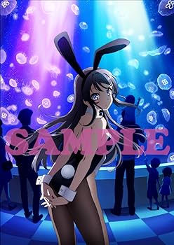 S*n様 青春ブタ野郎　DVD 6巻限定BOX付 劇場アニメ「青春ブタ野郎はおでかけシスターの夢を見ない」公式