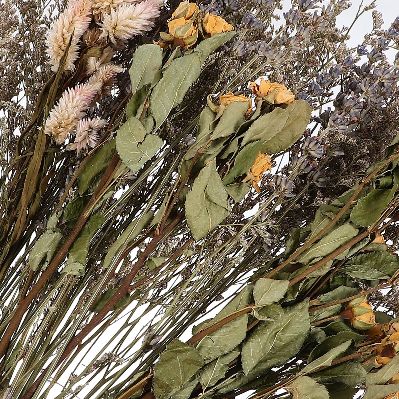 INOOMP Bouquet de Flores Secas y Lavanda Decorativa Natural para Jarrones, Planta Seca Casera Estilo Rústico Adecuado para Bodas y Navidad