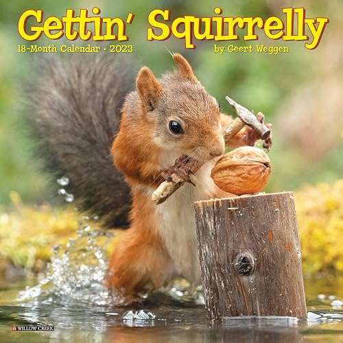 Gettin' Squirrelly 2023 Mini Wall Calendar