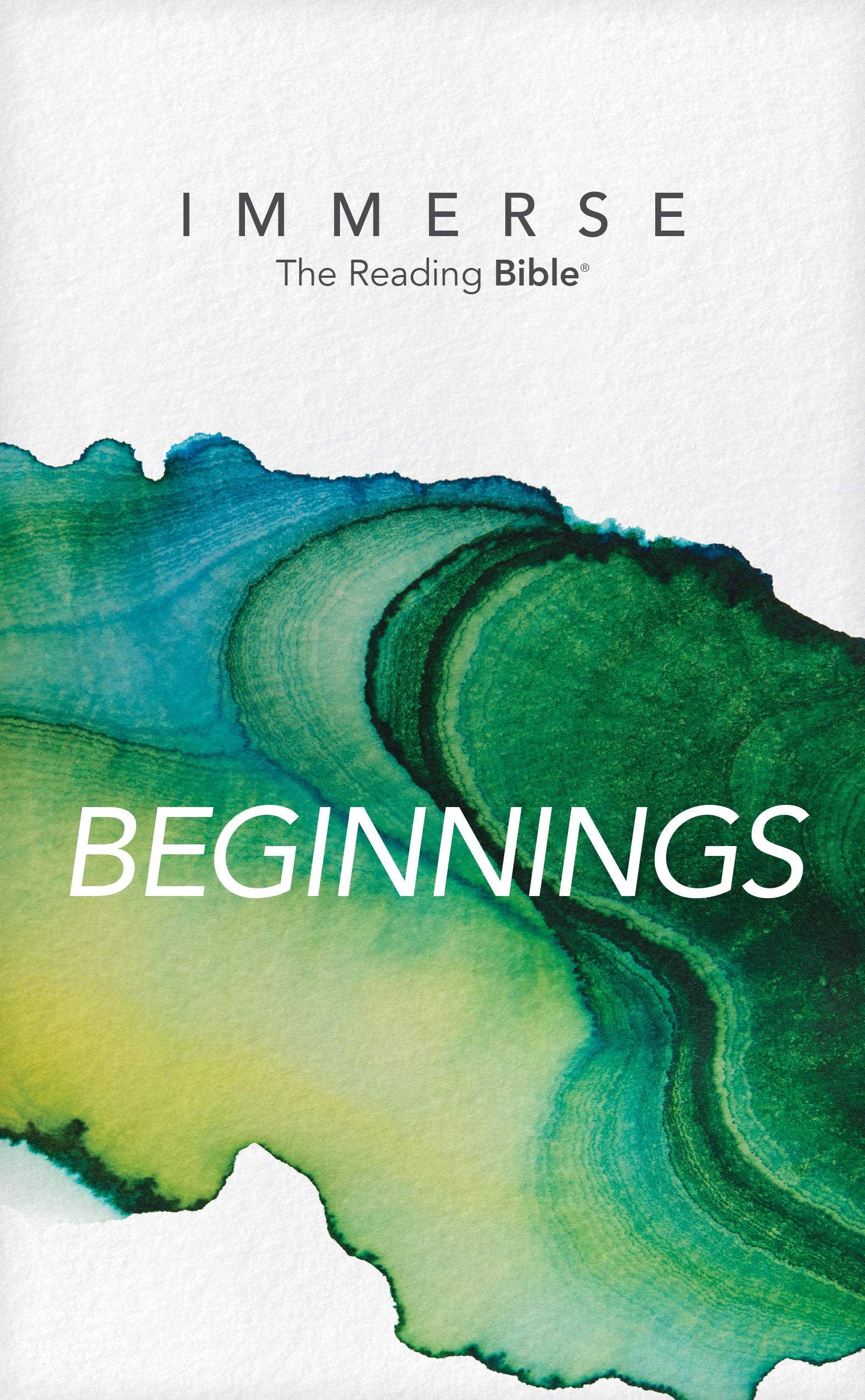 Immerse: Beginnings (Immerse: The Reading Bible)