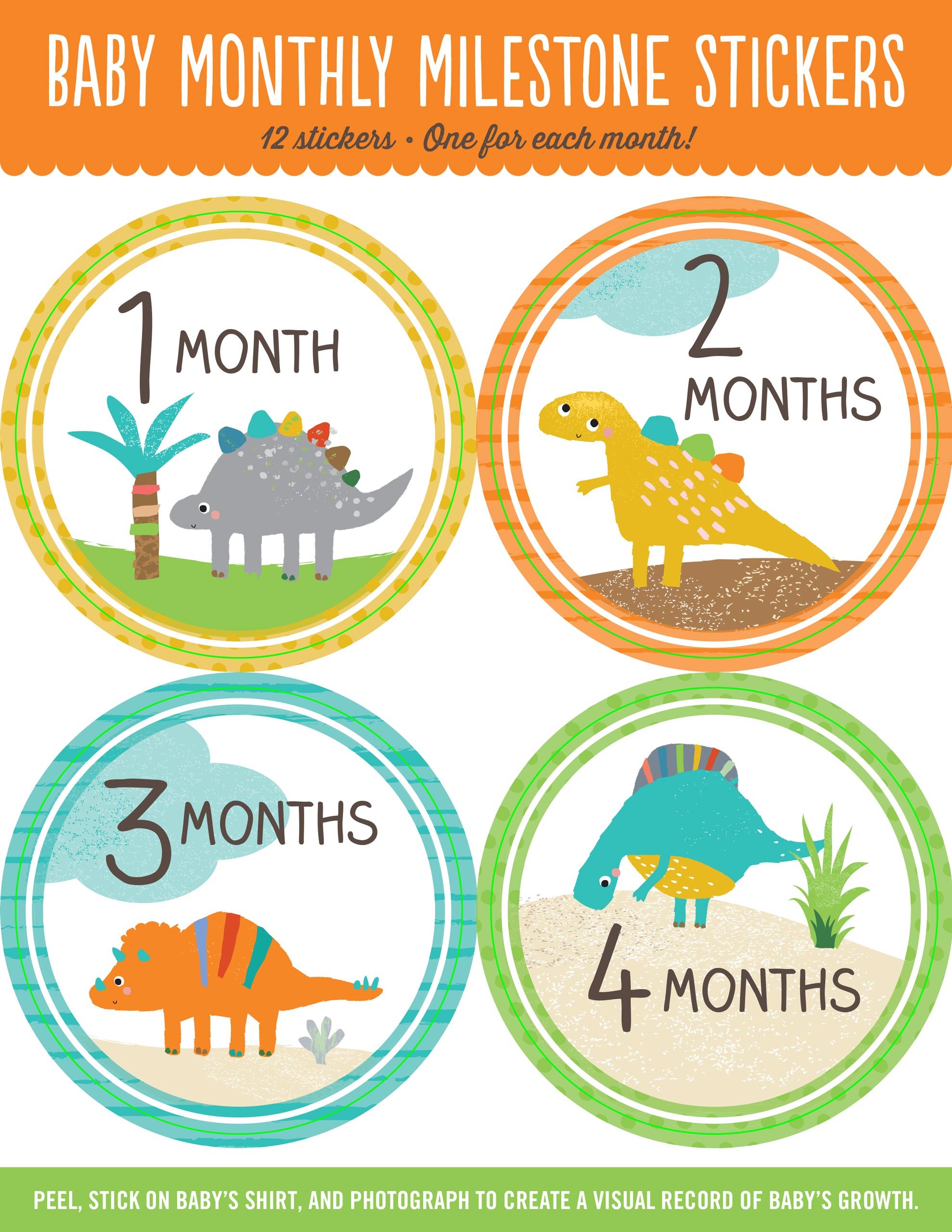 Baby Monthly Milestone Stickers: Dinosaurs (12 stickers)