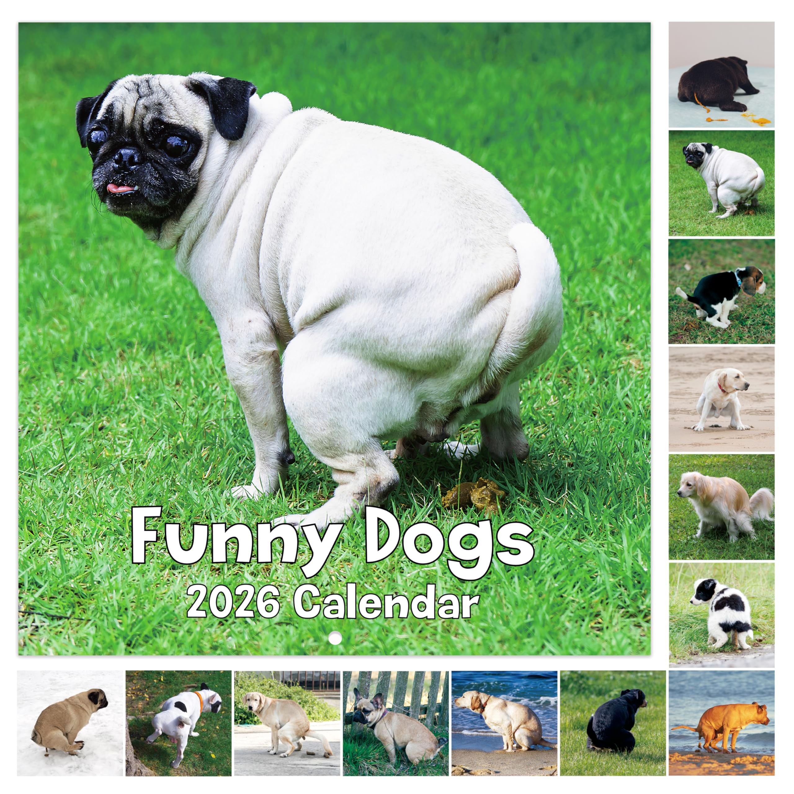 2026 Funny Calendar - Gag Gifts, 2026 Calendar, Jan.2026 - Dec.2026, 12" X 24" (Open), 2026 Wall Calendar, Dogs Pooping Calendar 2026, Gag Gifts, Perfect White Elephant Gifts, Christmas Gift