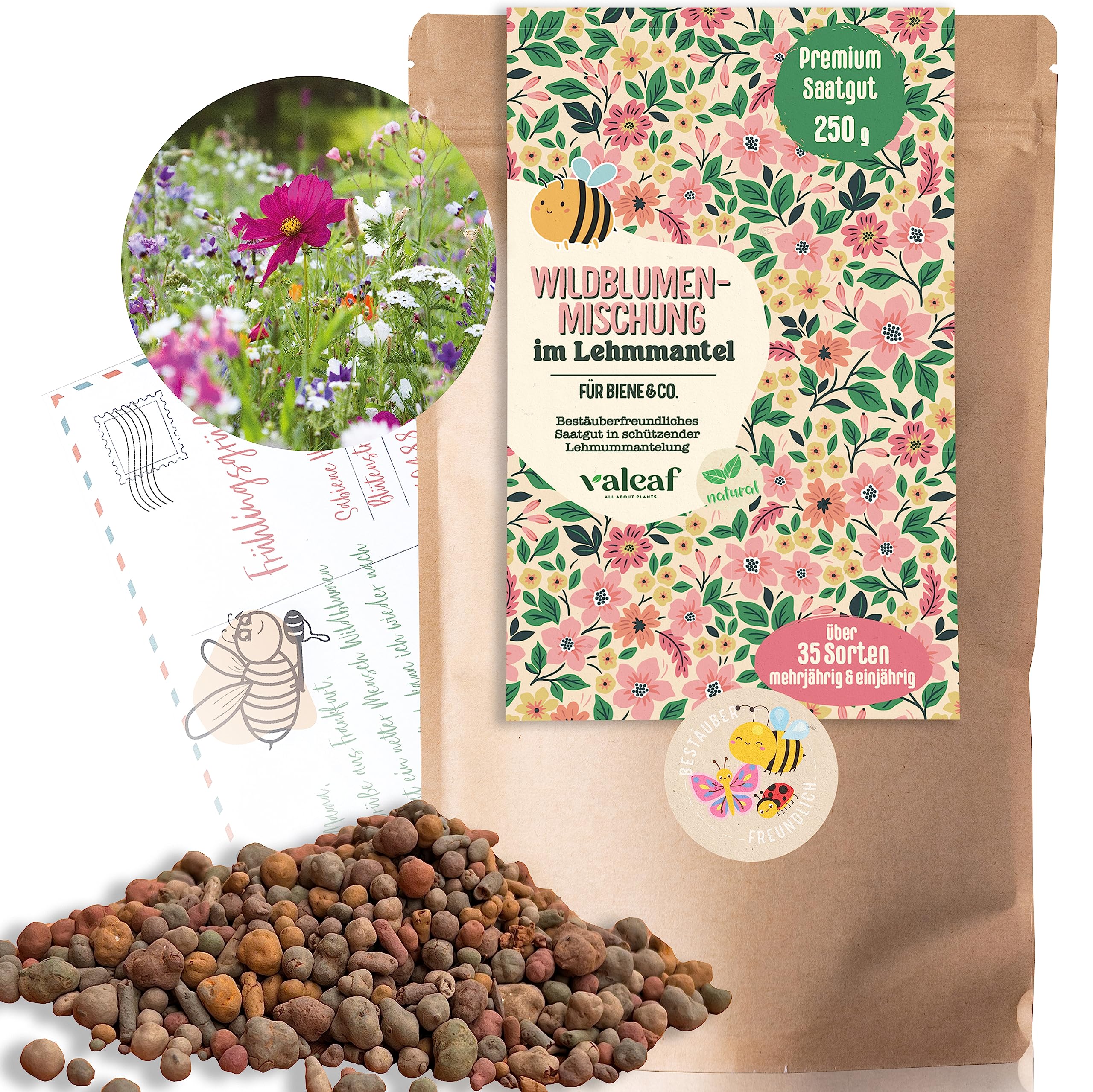 Wildblumensamen im Lehmmantel 250 g - Blumenwiese Samen mit Vogelschutz - Bienenfreundliche Wildblumenmischung für bunte Blütenpracht