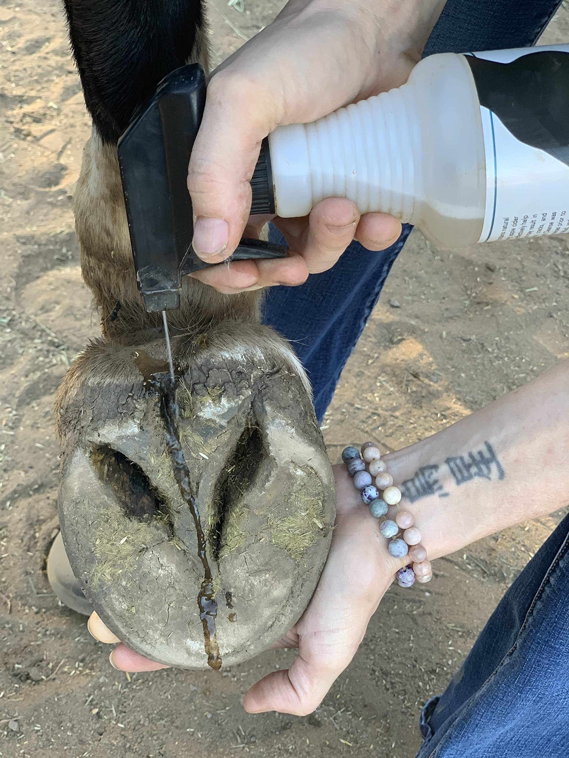 Severe Thrush Treatment for Horses Hoof Cleanse (32 oz. Refill) Hoof Mud (32 oz.) Bundle - image 8