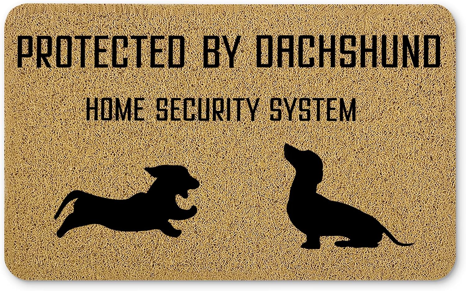 Dachshund Gifts Welcome Mats for Front Door, Weiner Dog Door Mat, Protected by Dachshund Funny Doormat for Porch Outside Inside Outdoor Indoor Entrance, Dog Bath Rug, 17x30 Inches
