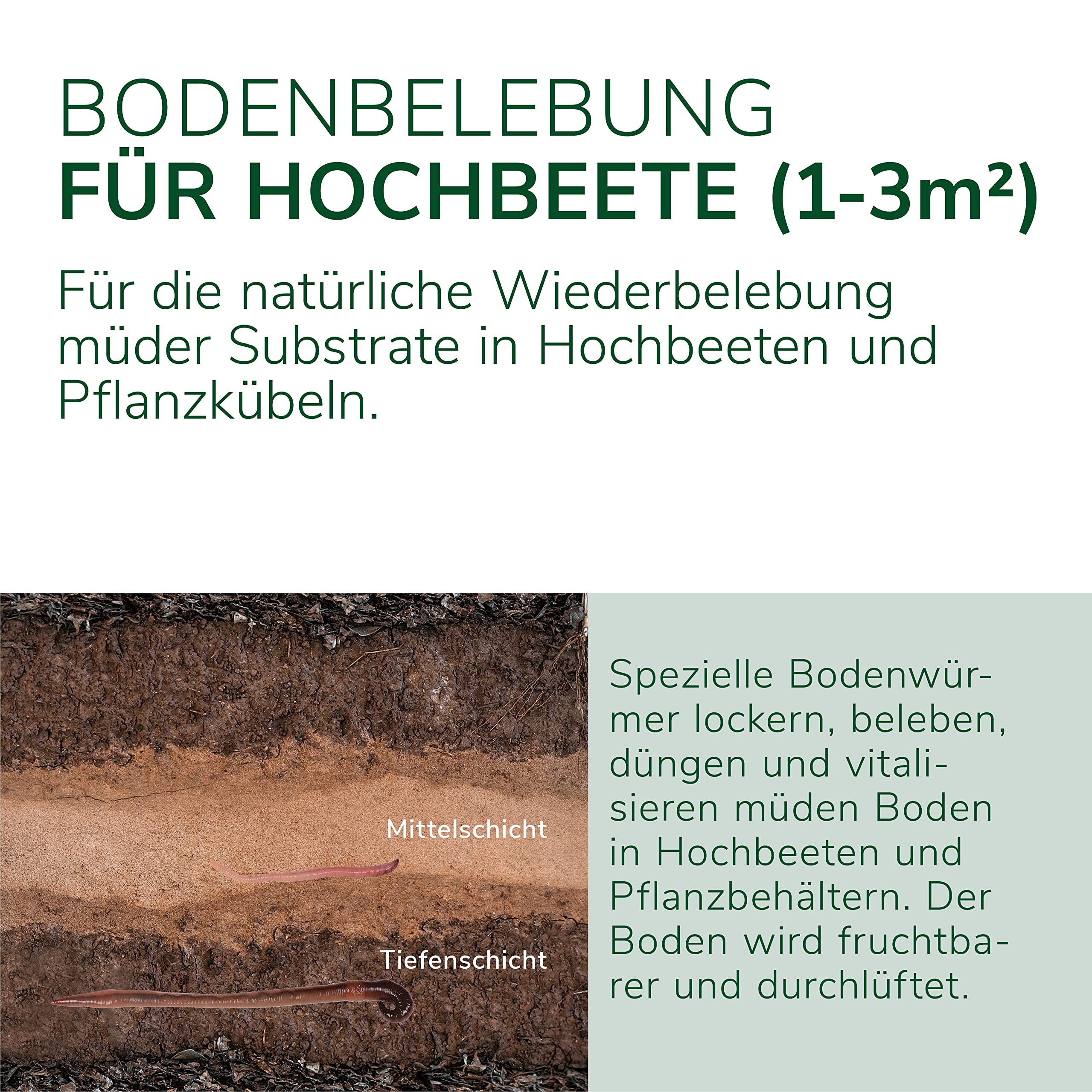 Natursache Terra Forming Paket „Jack“ I Natürlicher Bodenaktivator für Hochbeete und Pflanzkübel für 1-3 m² I Bodenverbesserer-Set mit Styroporbox, 150 STK. Regenwürmer & Einer Anleitung