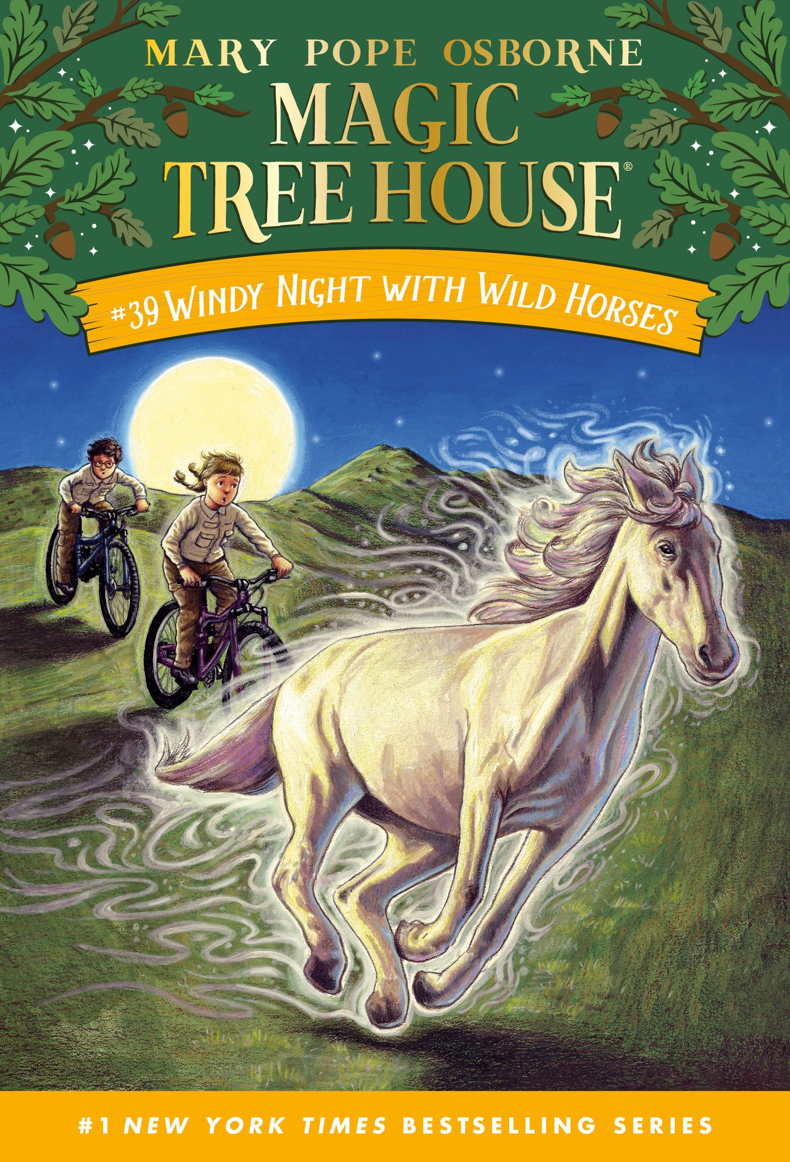 Windy Night with Wild Horses (Magic Tree House)