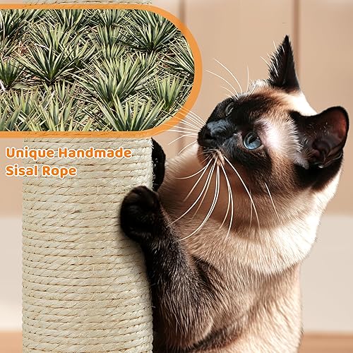 Miniatura 8 de Yaheetech Árbol para gatos de interior, torre para gatos de 42 pulgadas con postes rascadores de sisal de 2 puertas y percha de felpa para gatitos