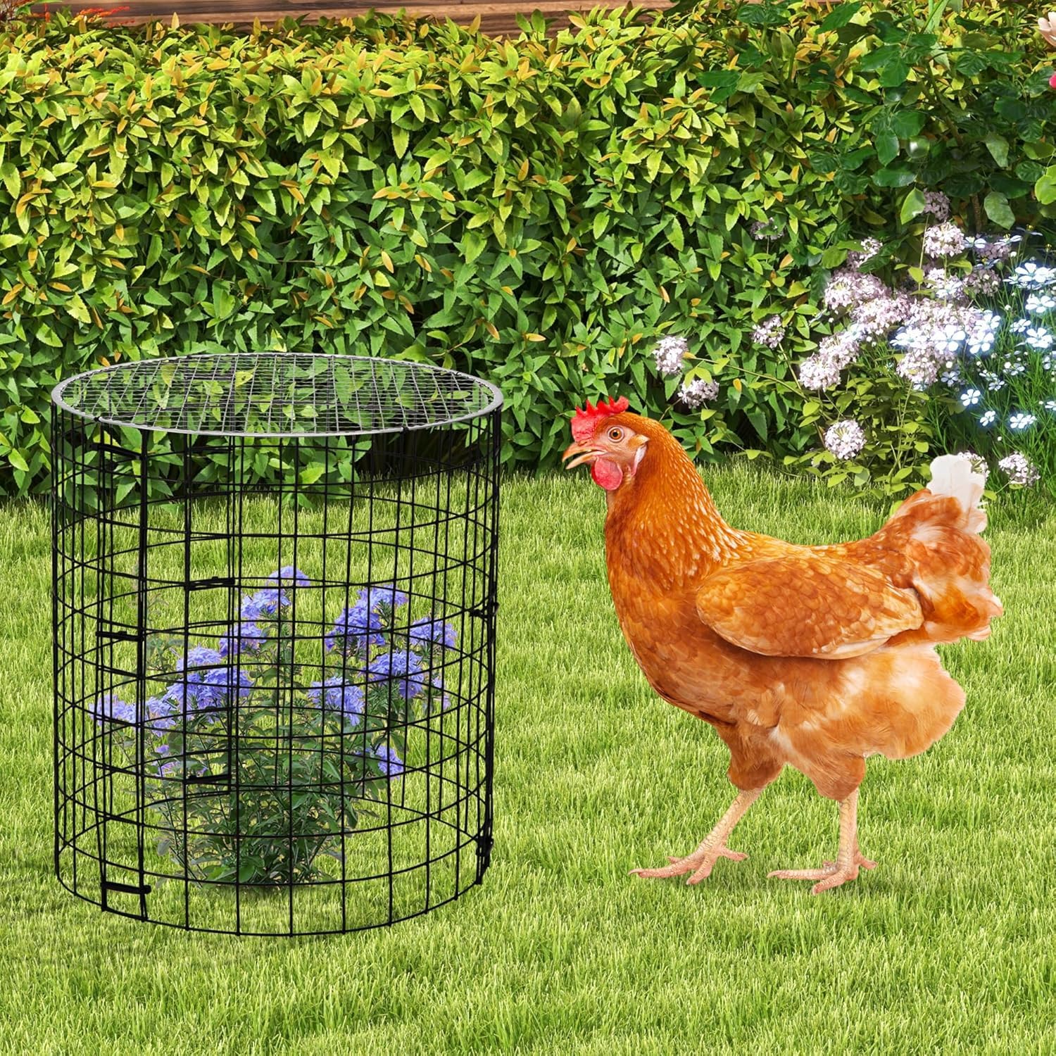 GIONAR Lot de 4 protecteurs de plantes en fil de fer avec housse - 30,5 x 27,9 cm - Cloches de protection de jardin contre les lapins, oiseaux, poules, écureuils, autres petits animaux