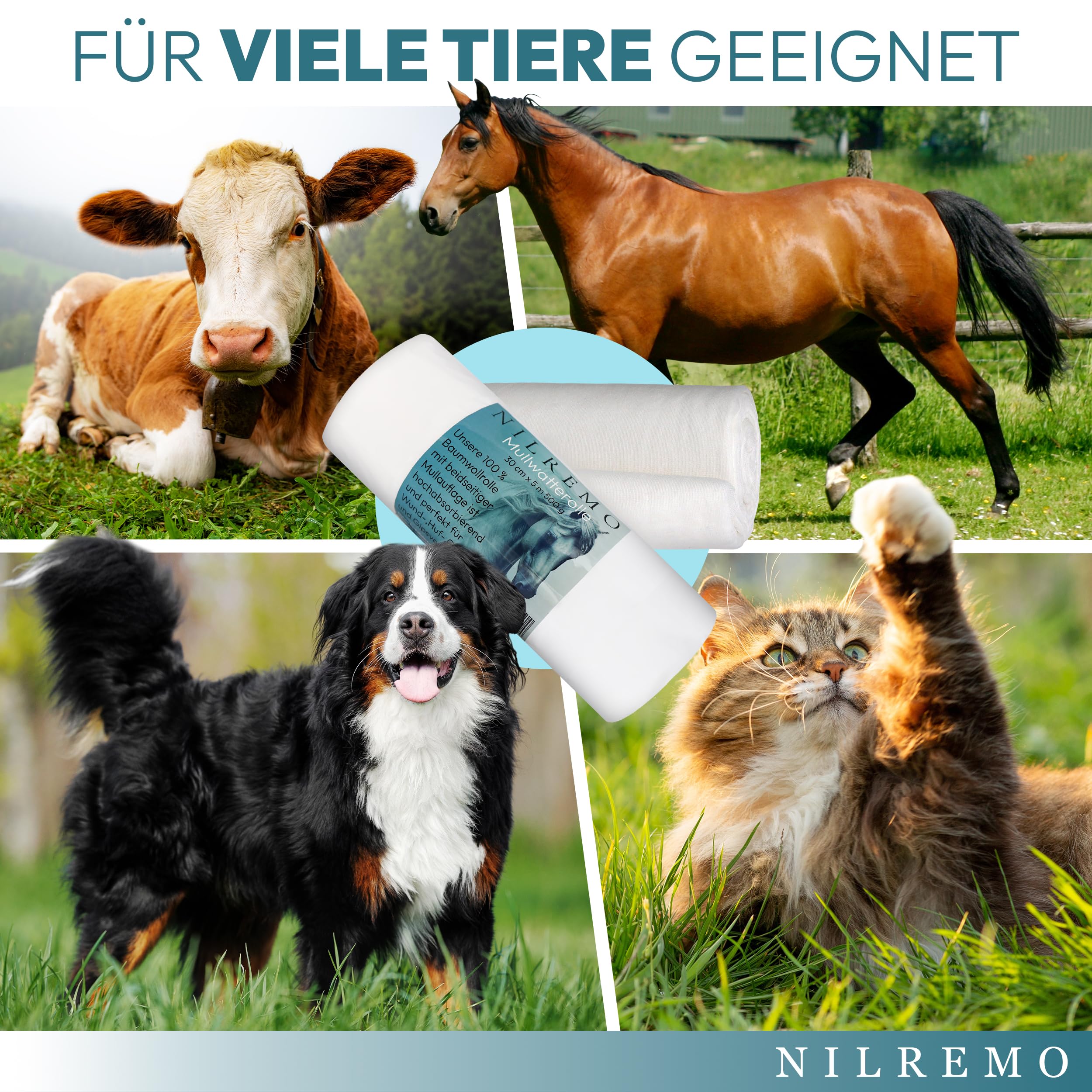 Pferde-Mullwatterolle im Mullumschlag, Verbandwatte 30cmx5m für optimale Wundversorgung und Schutz des Pferdes, perfekt für Stallapotheke