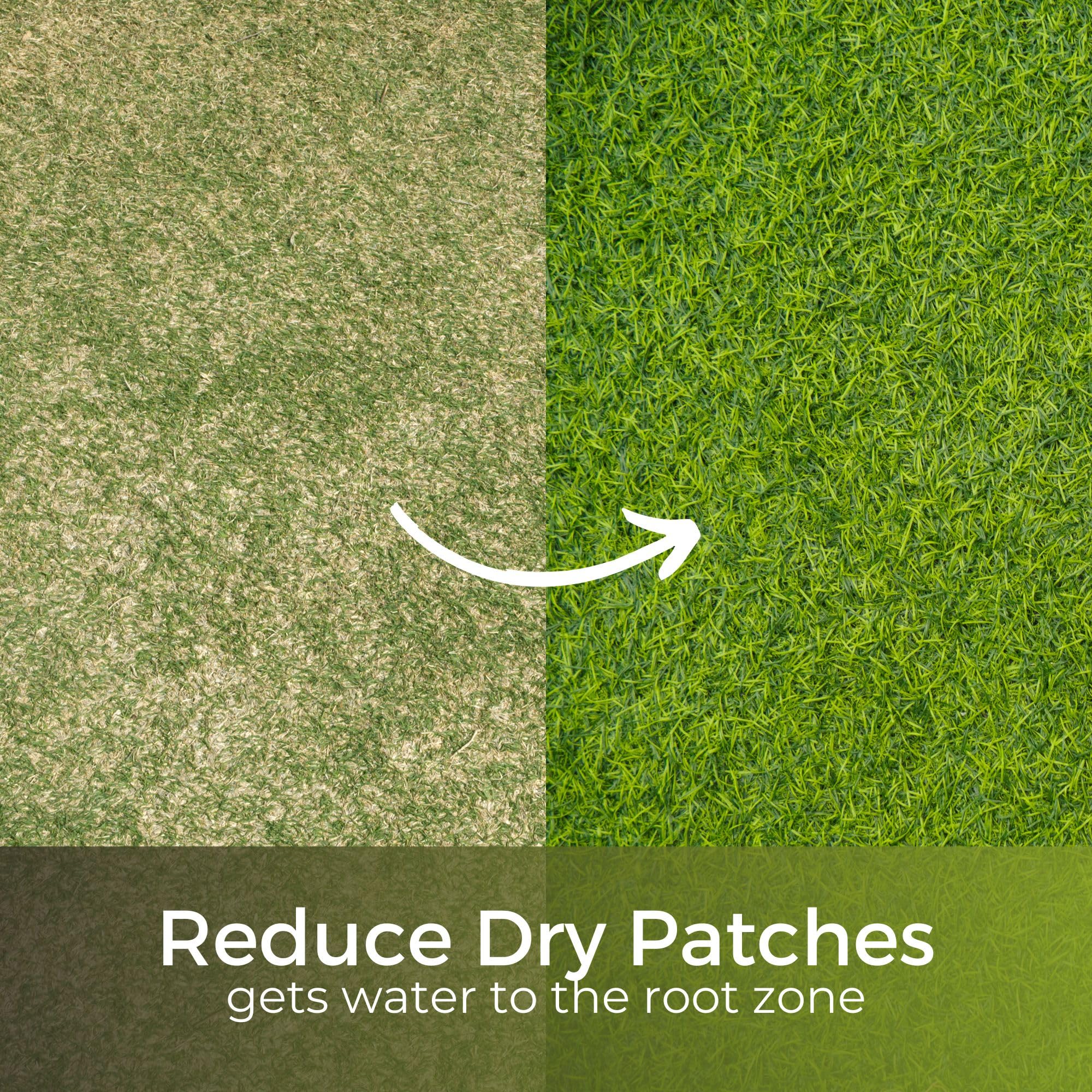 MoistureMax™ Granular Wetting Agent for Lawns and Grass - Non Ionic Drought Treatment - Non Hazardous - No Brown Stains - Image 2