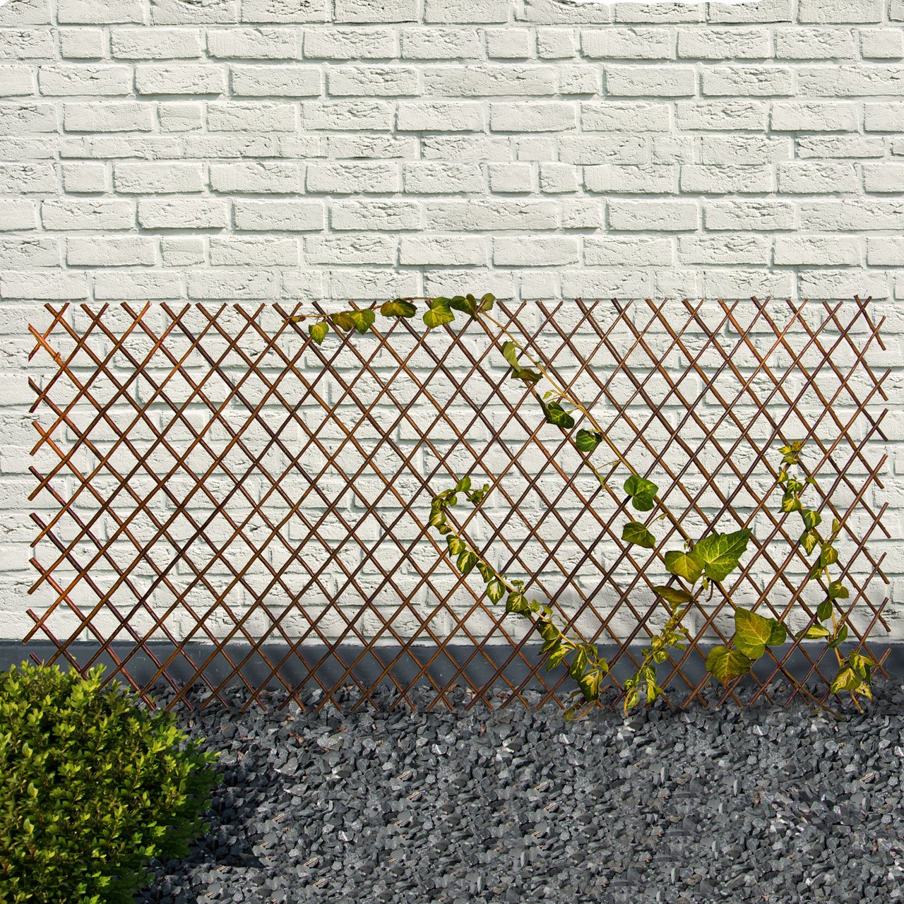 UNUS Lot de 5 Treillis pour Plantes grimpantes 180 cm x 60 cm, Clôture en Saule, barrière de Jardin Extensible, Tuteurs Rosier