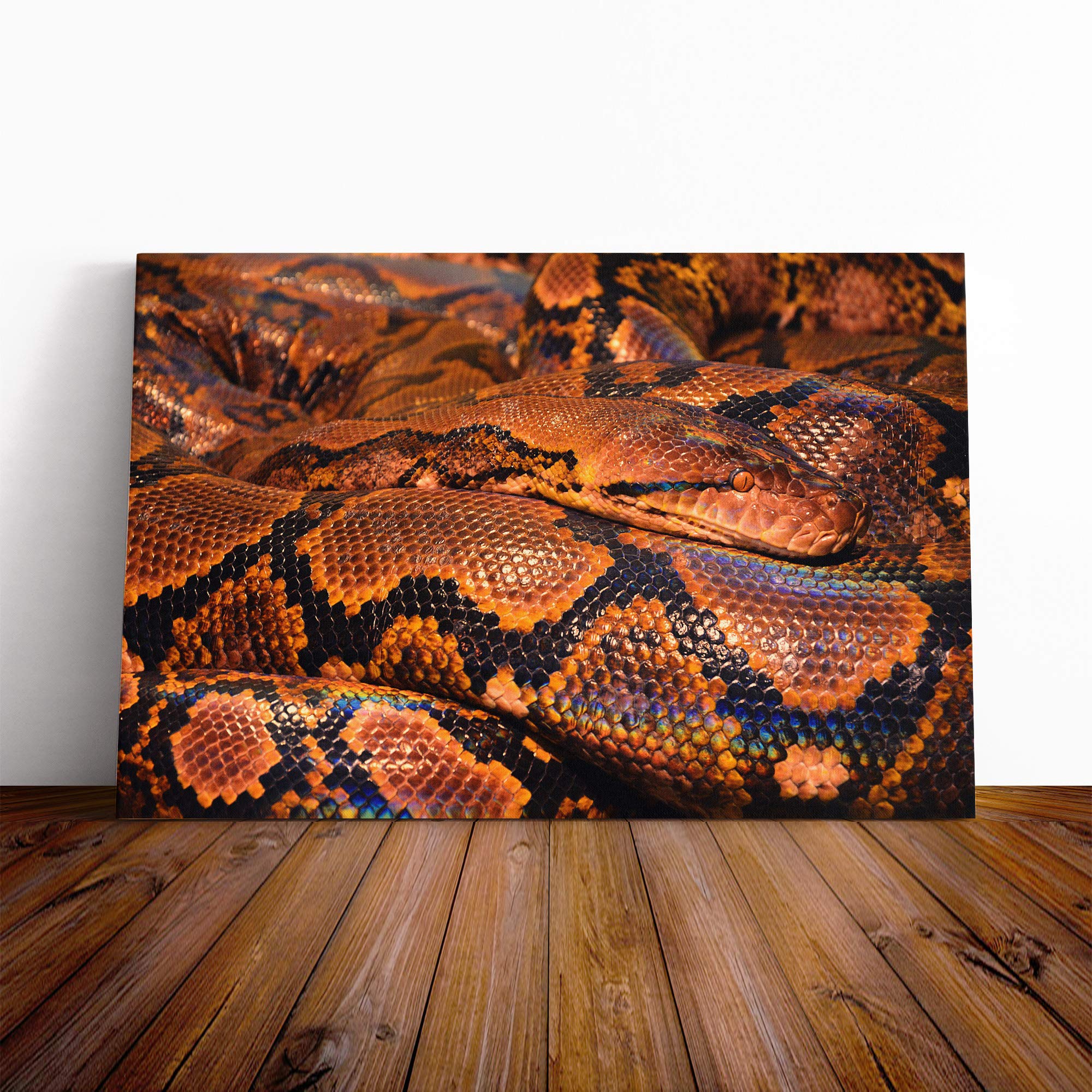 Snake Skin Canvas Print | Gallery Wrapped 30mm Frame Wall Art | 24x16 inches | Ready to Hang | Modern Animals Picture | Living Room Bedroom Lounge Office