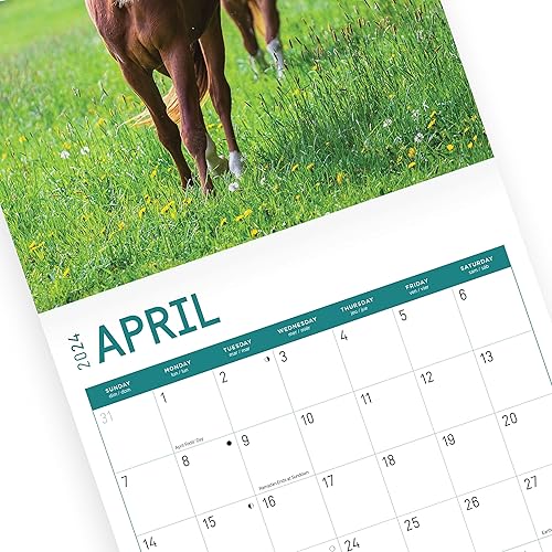 Miniatura 8 de Bright Day - Calendario mensual de pared con calcomanías de gatos 2023, 12 x 12 pulgadas, linda fotografía de mascotas