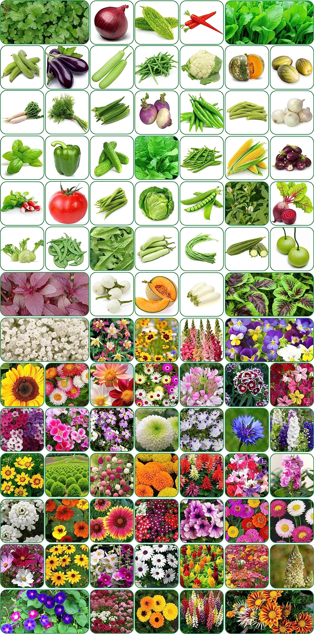 Aero Seeds 90 variety(45 flower and 45 vegetable) seeds combo pack with instruction manual. (B0C7G7GBYD) Amazon Price History, Amazon Price Tracker