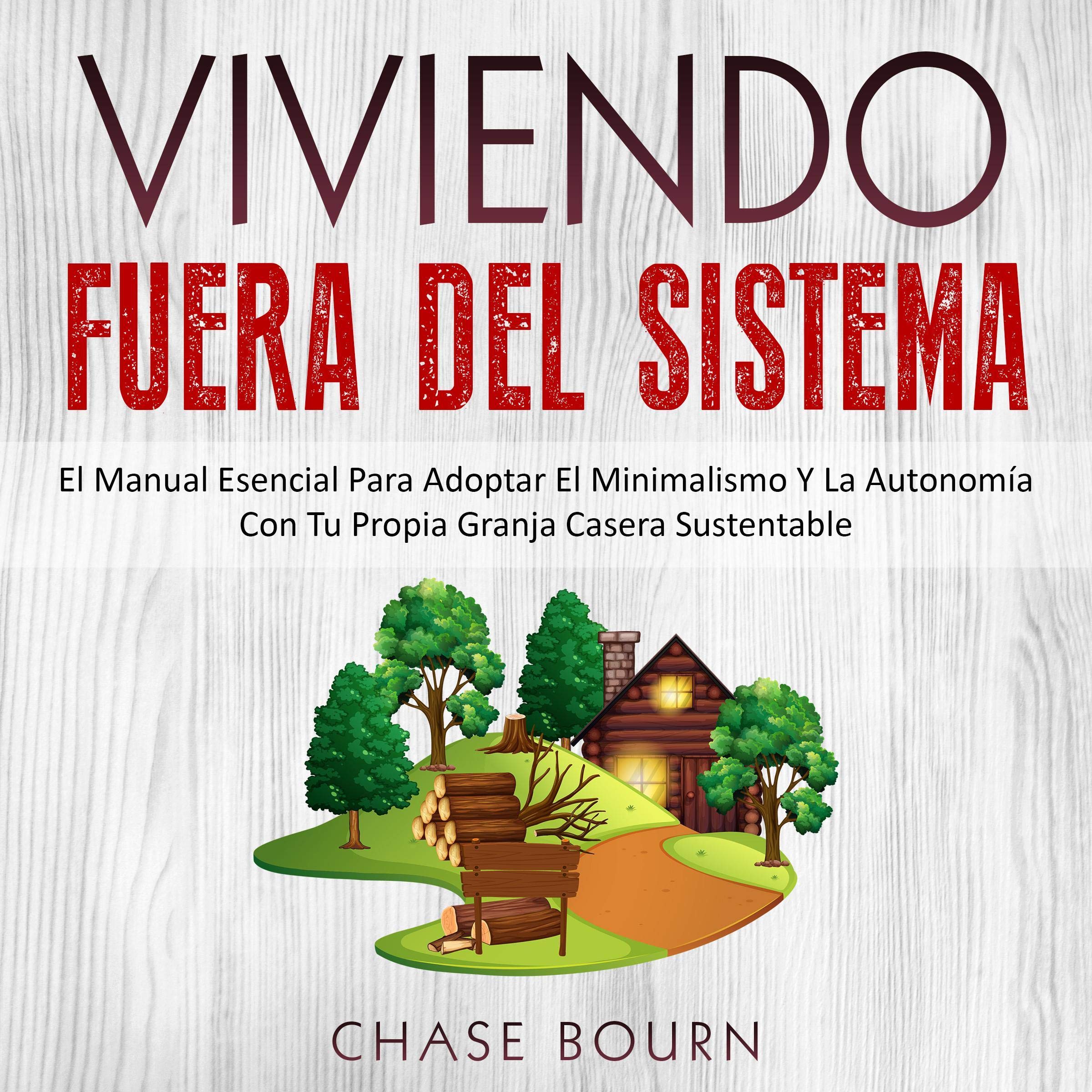 Cover art for Viviendo Fuera Del Sistema [Living Out of the System]