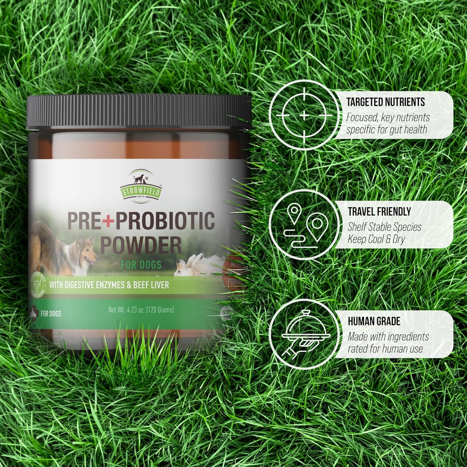 Strawfield Pets Pre + Probiotic Powder for Dogs with Digestive Enzymes Dog Probiotics for Yeast, Itchy Skin and Itchy Ears Natural Beef Liver Flavor 120 Scoops
