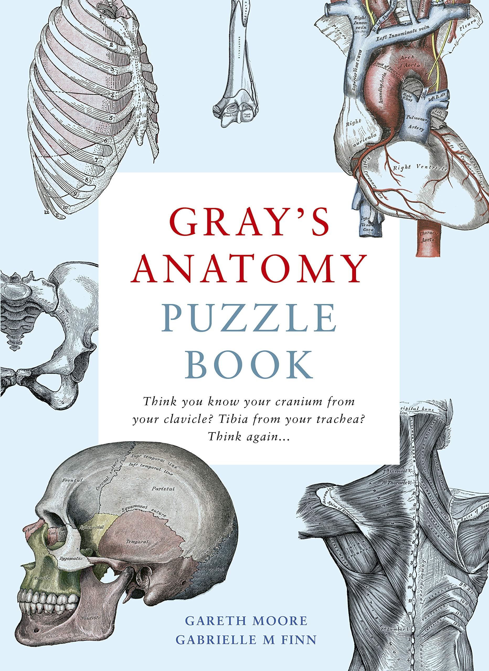 Gray's Anatomy Puzzle Book: experiment, explore, create