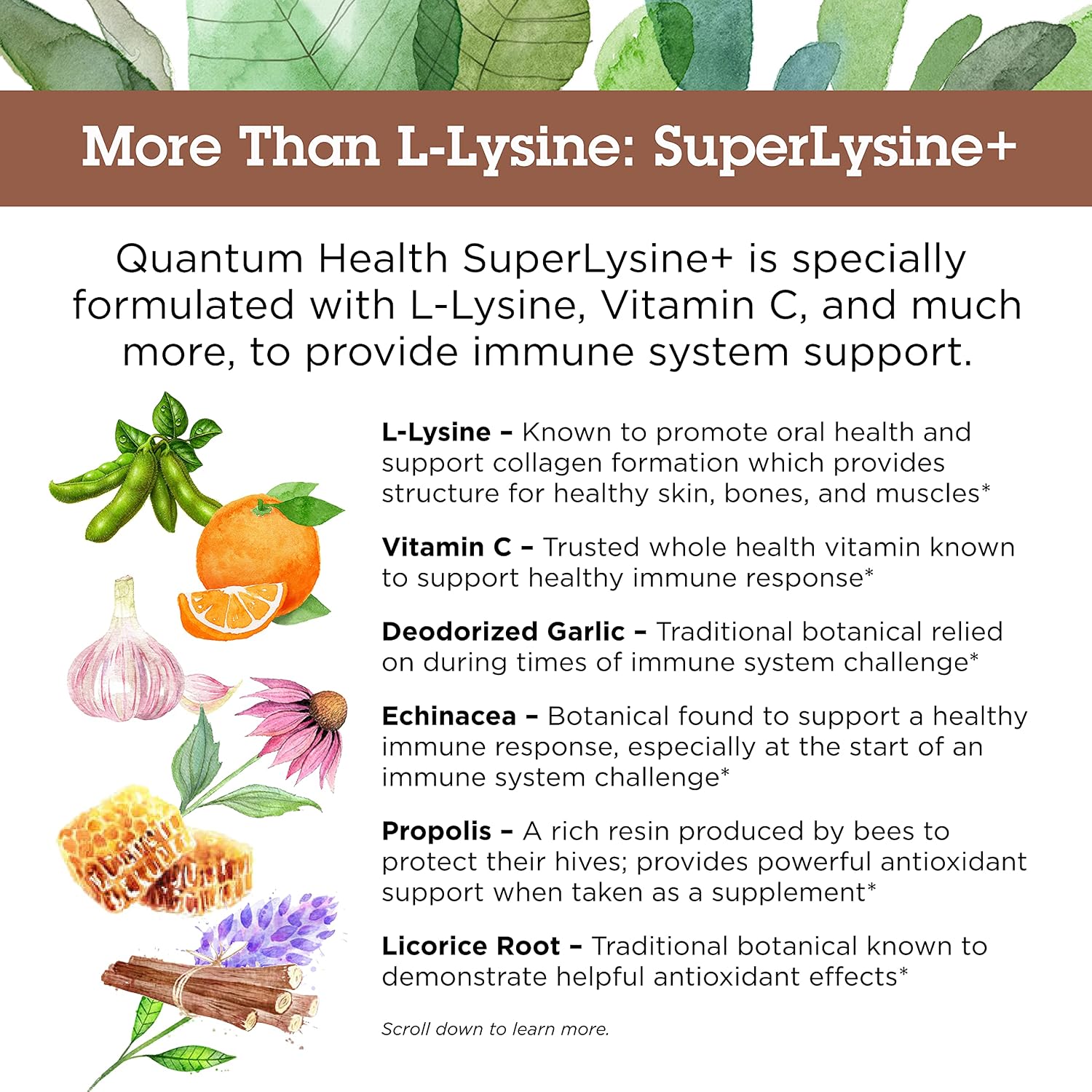 Amazon.com: Quantum Health Super Lysine+ / Advanced Formula ...