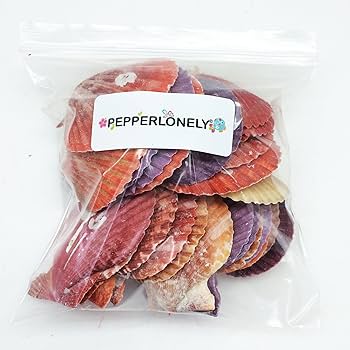 Amazon.co.jp: PEPPERLONELY ペクテン カラフル ホタテ貝殻 30個
